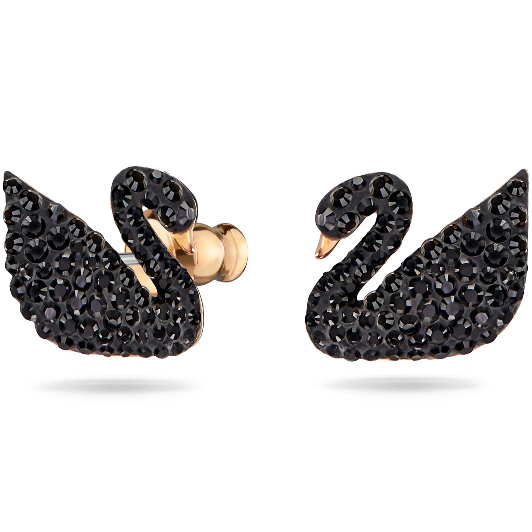 Khuyên Tai Swarovski thiên nga đen Iconic Swan Earrings Black Rose Gold-tone Plated 5193949 2