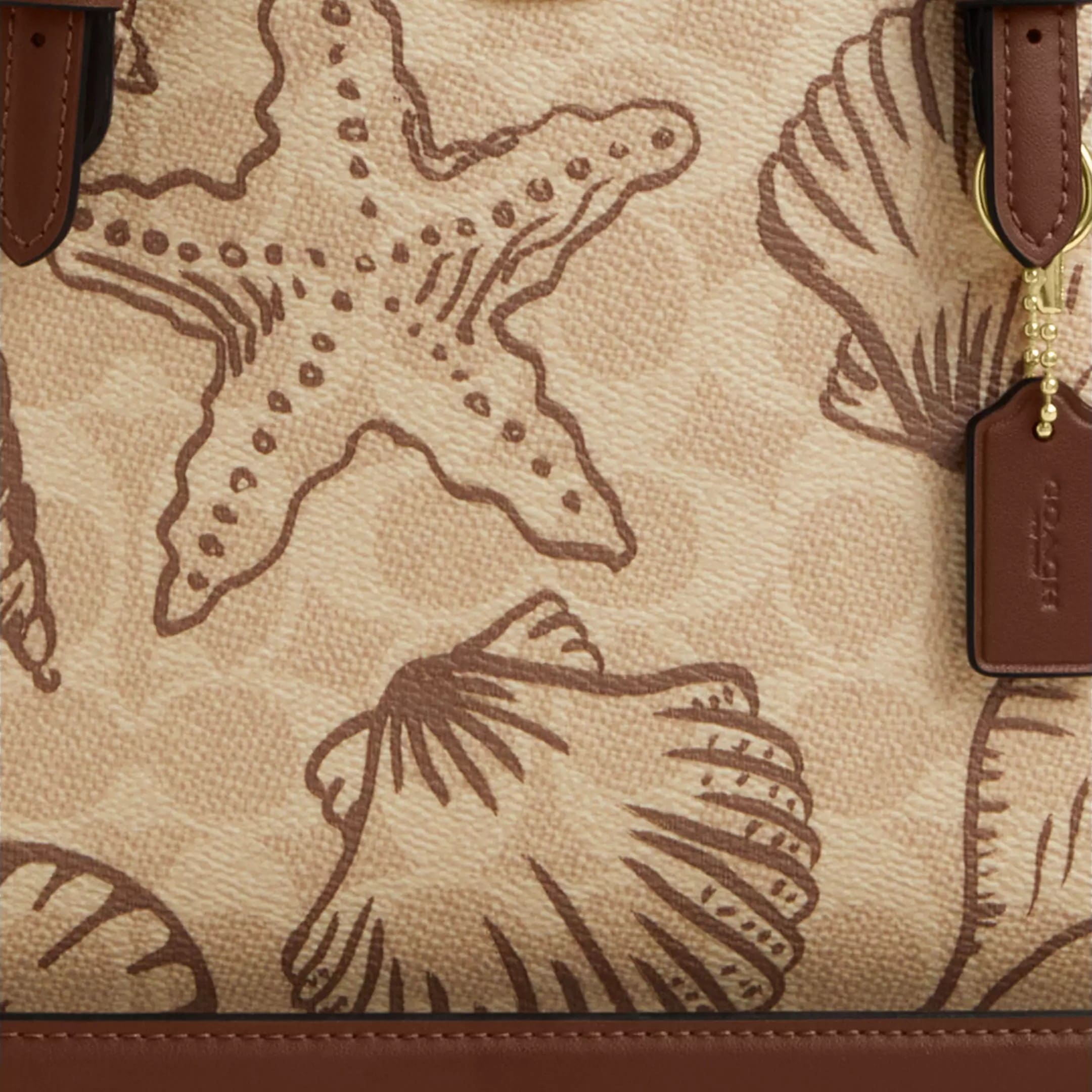 Túi đeo chéo Coach nữ Mollie Tote Bag 25 In Signature Canvas With Shell Print CBH63 3