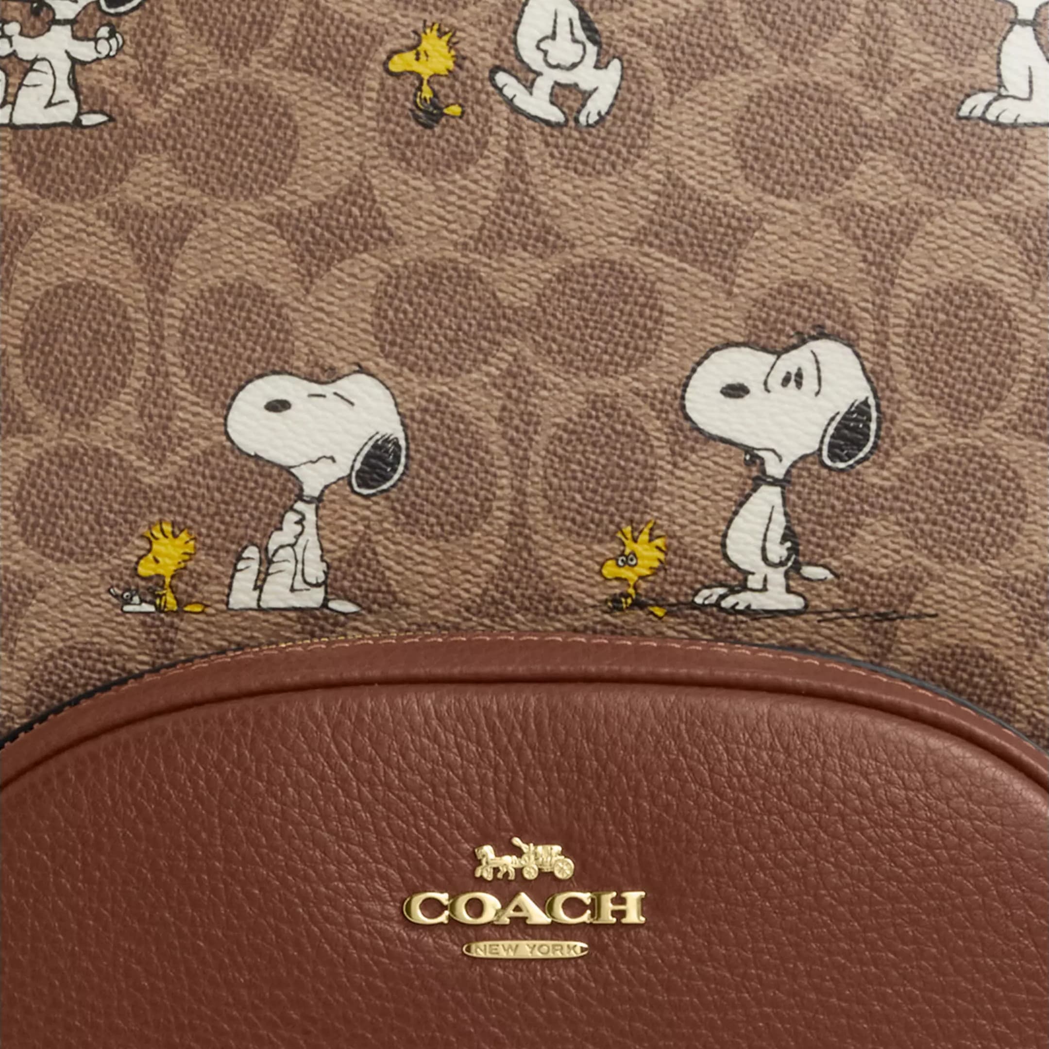 Ba lô Coach X Peanuts Court Backpack In Signature Canvas With Snoopy Print CBM25 6