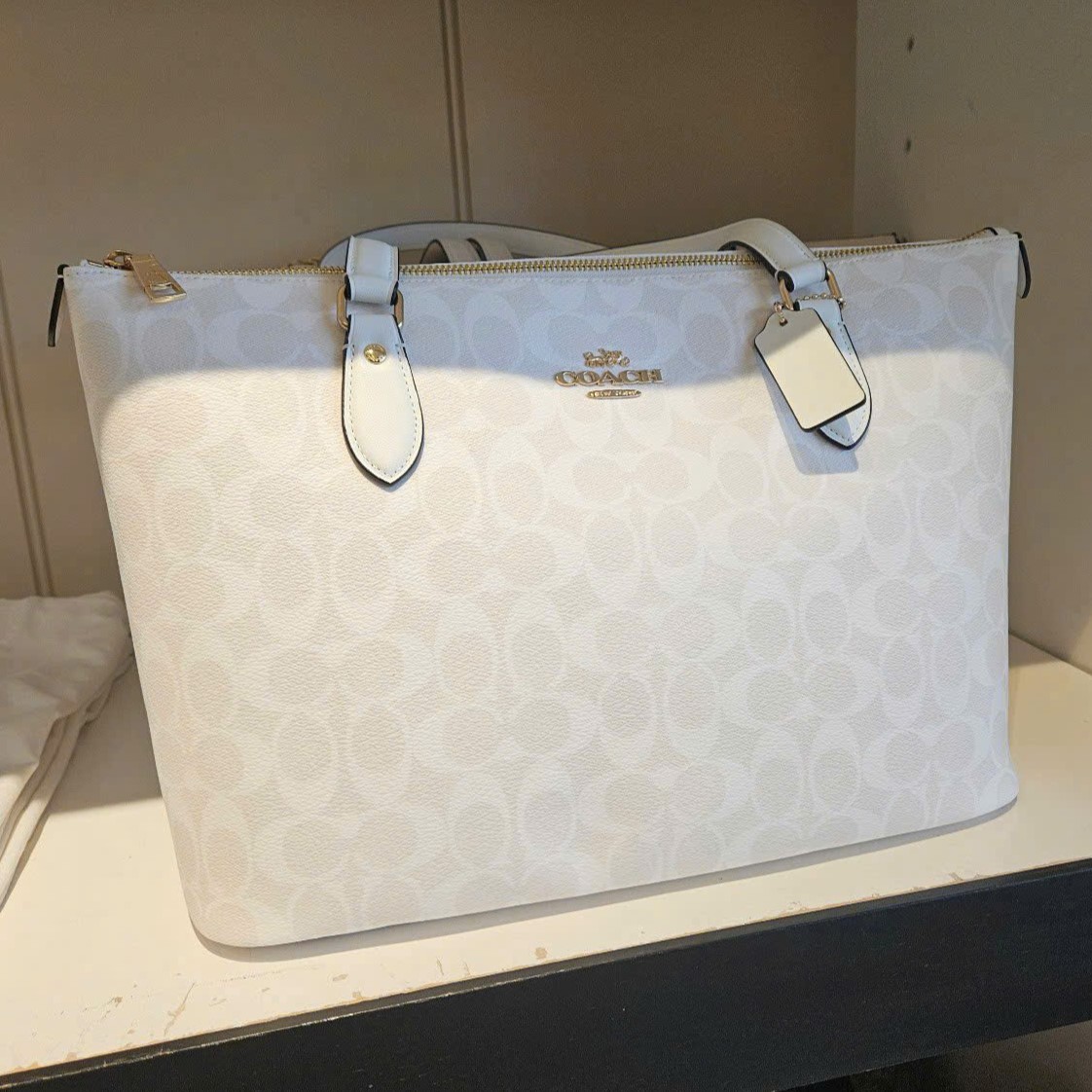 Túi xách Tote Nữ Coach Gallery Tote Bag In Signature Canvas Glacier White CW381 2