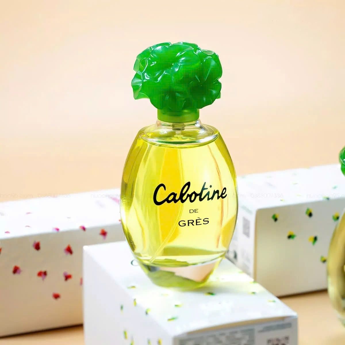Nước Hoa Gres Cabotine De Gres EDP 2