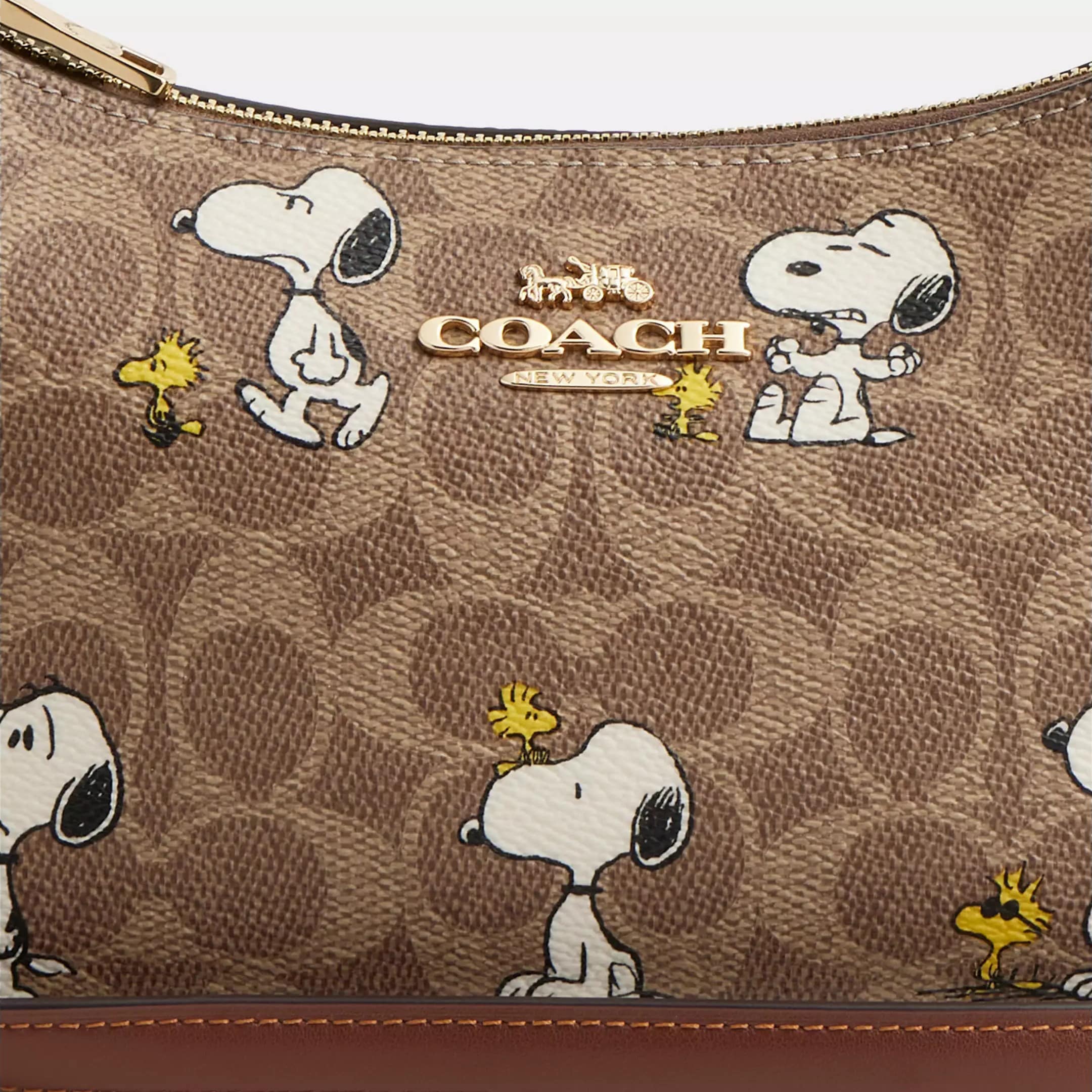 Túi đeo chéo Coach X Peanuts Teri Shoulder Bag In Signature Canvas With Snoopy Print CBJ88 9
