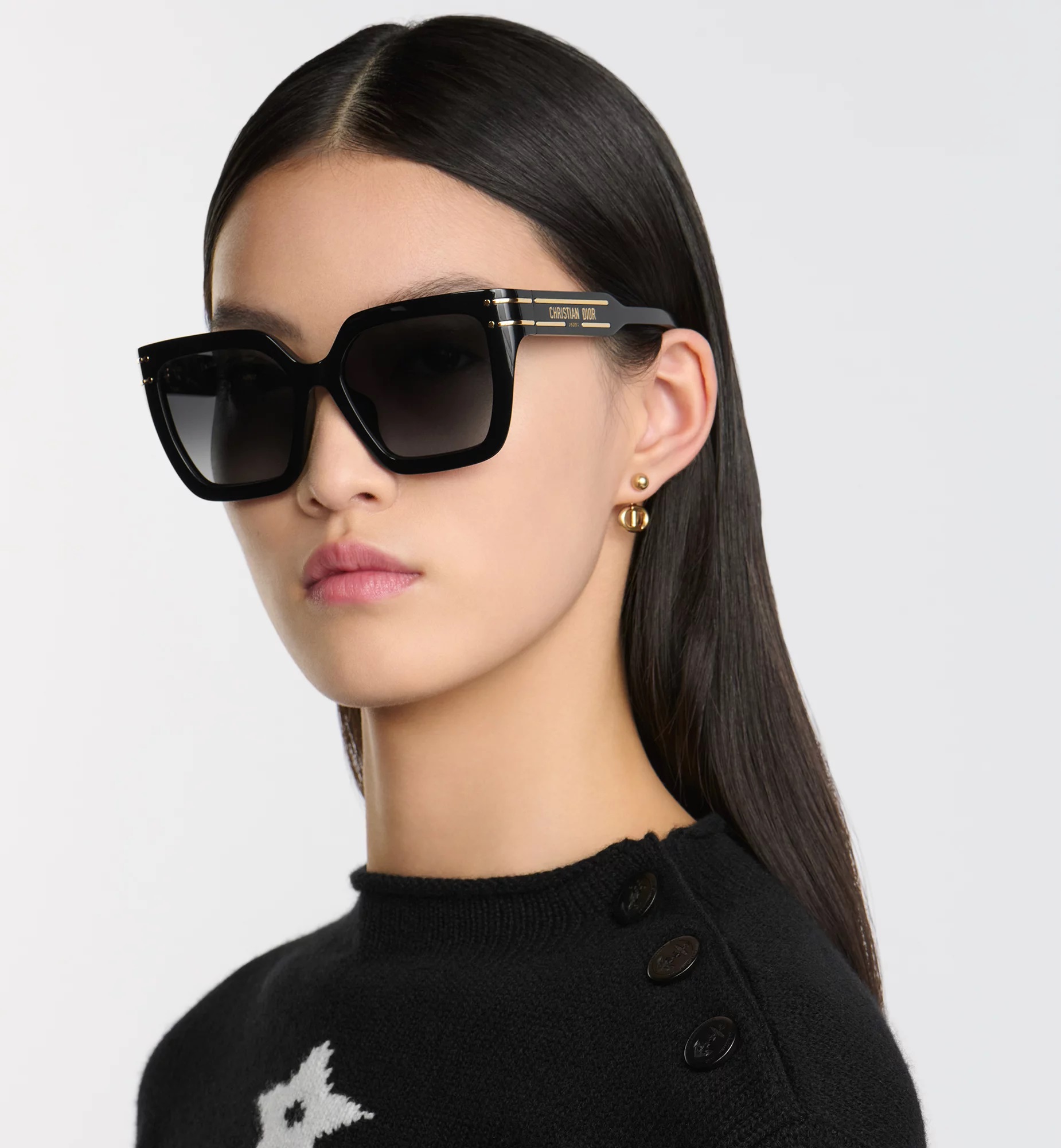 Kính mát Dior DiorSignature S10F Black Square Sunglasses 1