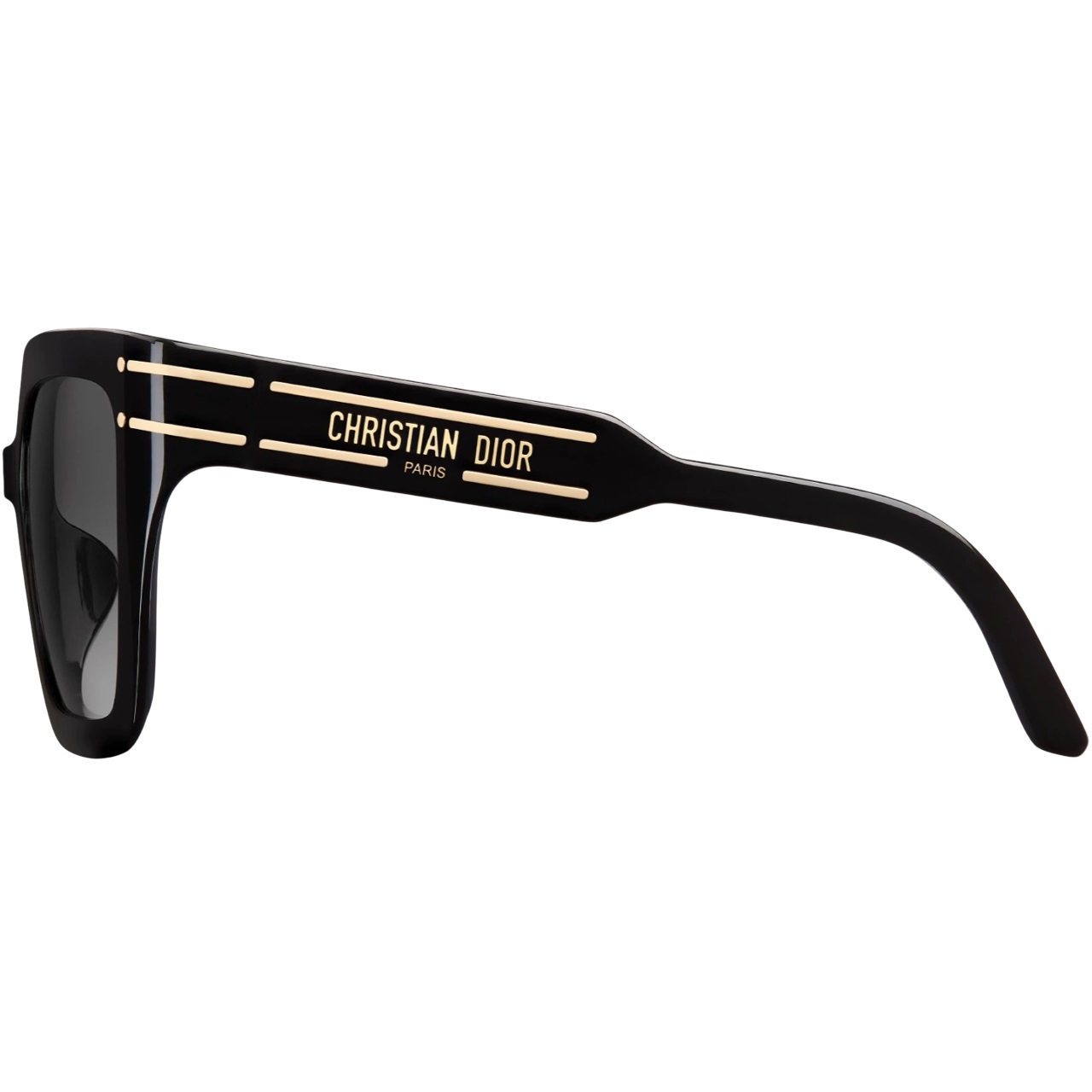 Kính mát Dior DiorSignature S10F Black Square Sunglasses 2