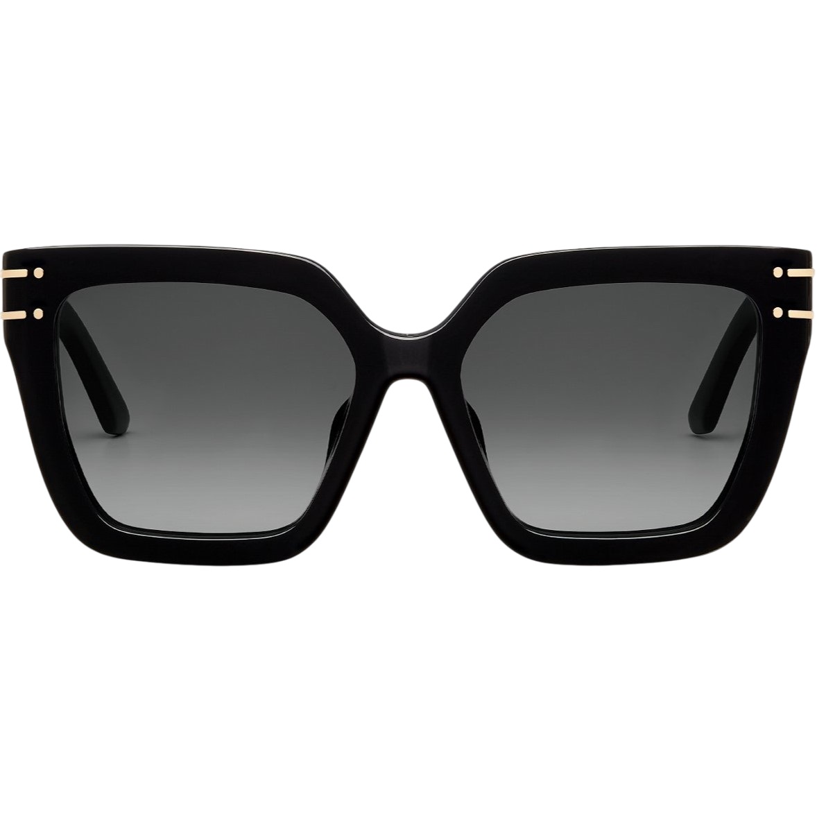 Kính mát Dior DiorSignature S10F Black Square Sunglasses 3