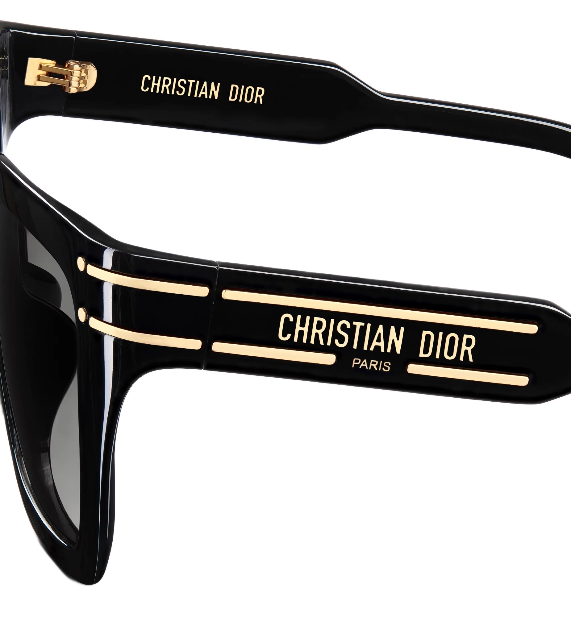Kính mát Dior DiorSignature S10F Black Square Sunglasses 6