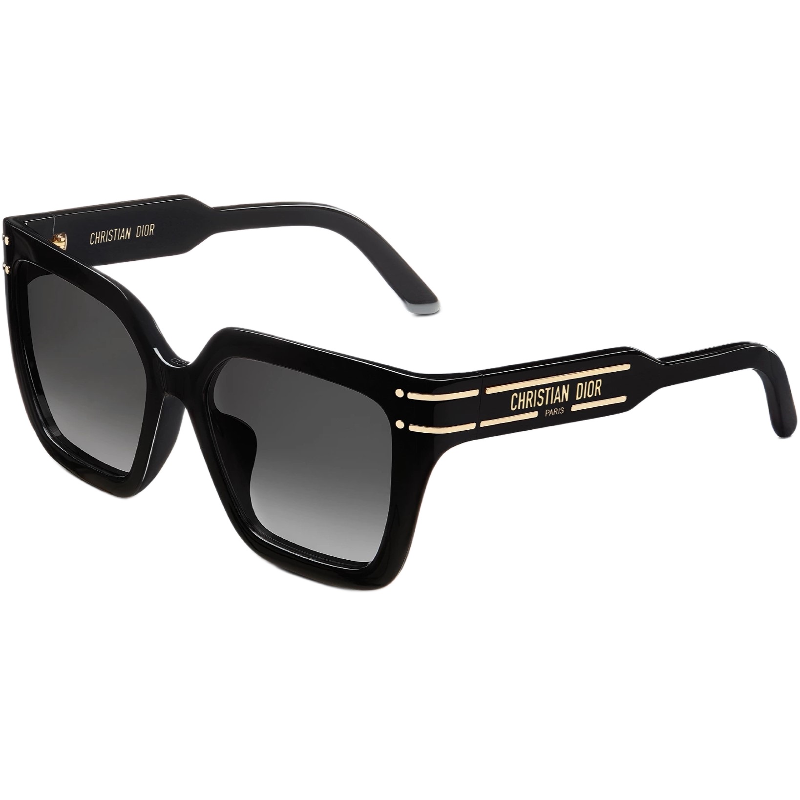 Kính mát Dior DiorSignature S10F Black Square Sunglasses 7