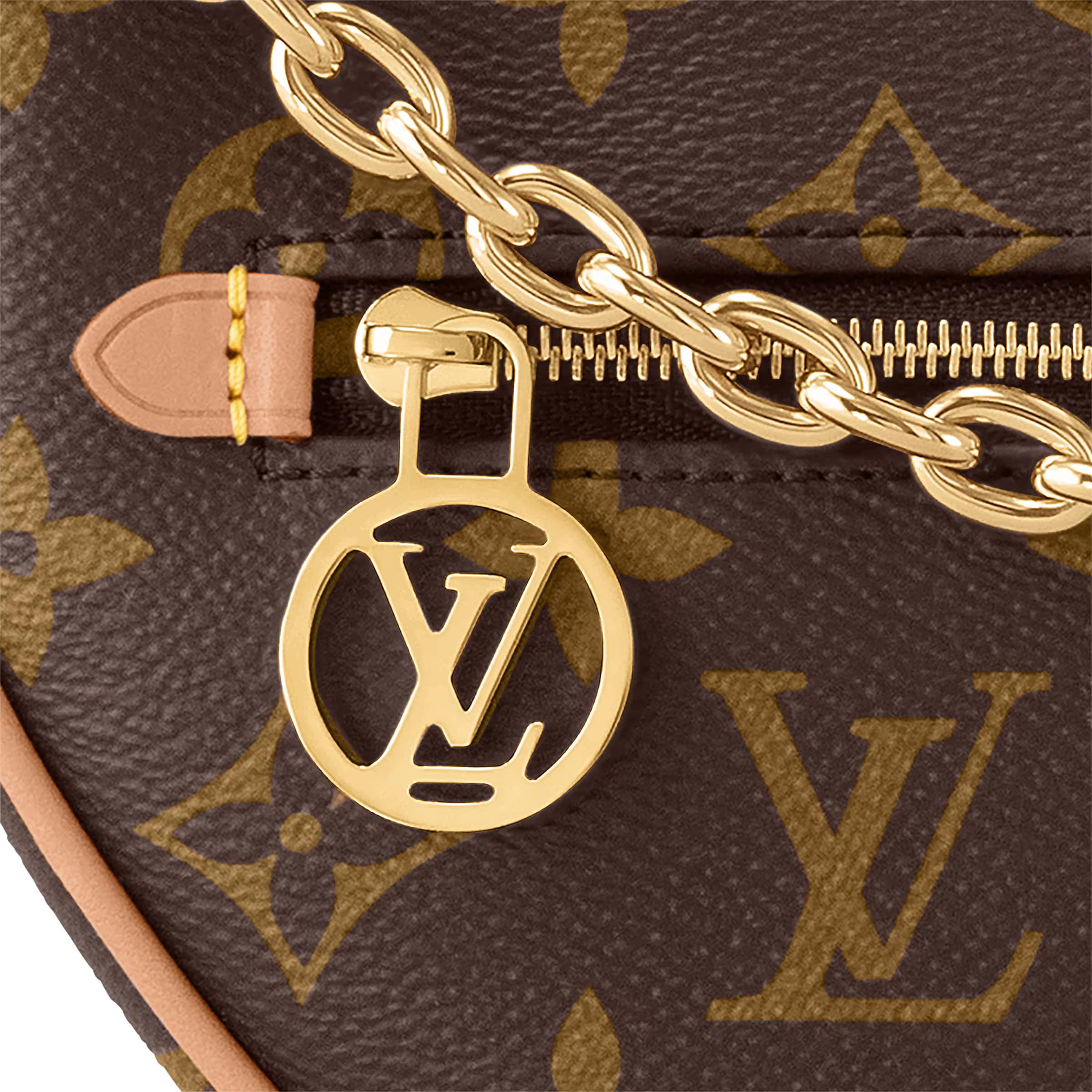 Túi đeo vai LV Nữ Louis Vuitton Loop Monogram Canvas M81098 Màu Nâu 20