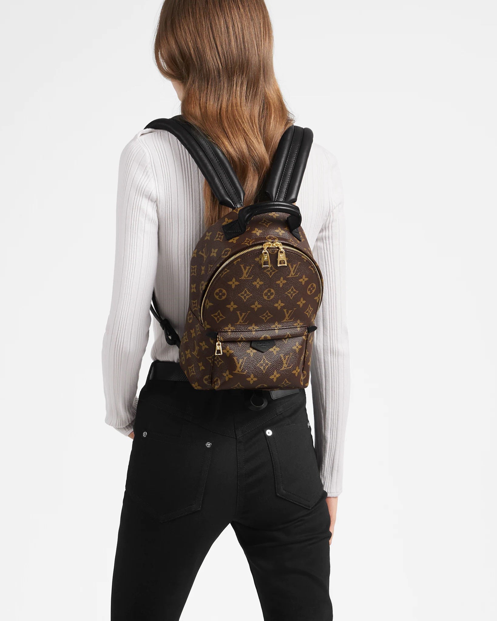 BALO LV LOUIS VUITTON PALM SPRINGS PM MONOGRAM CANVAS 1