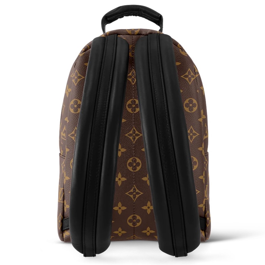 BALO LV LOUIS VUITTON PALM SPRINGS PM MONOGRAM CANVAS 4