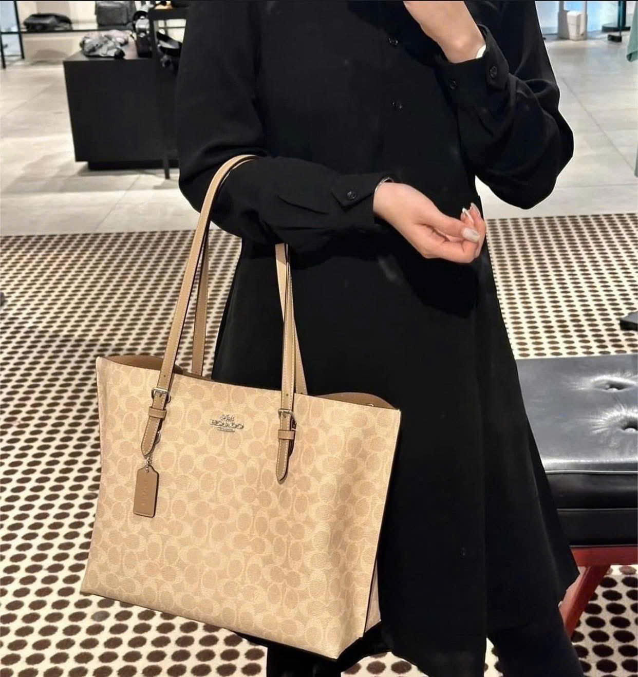 Túi xách Coach nữ Mollie Tote Bag In Signature Canvas Silver Sand CV967 3