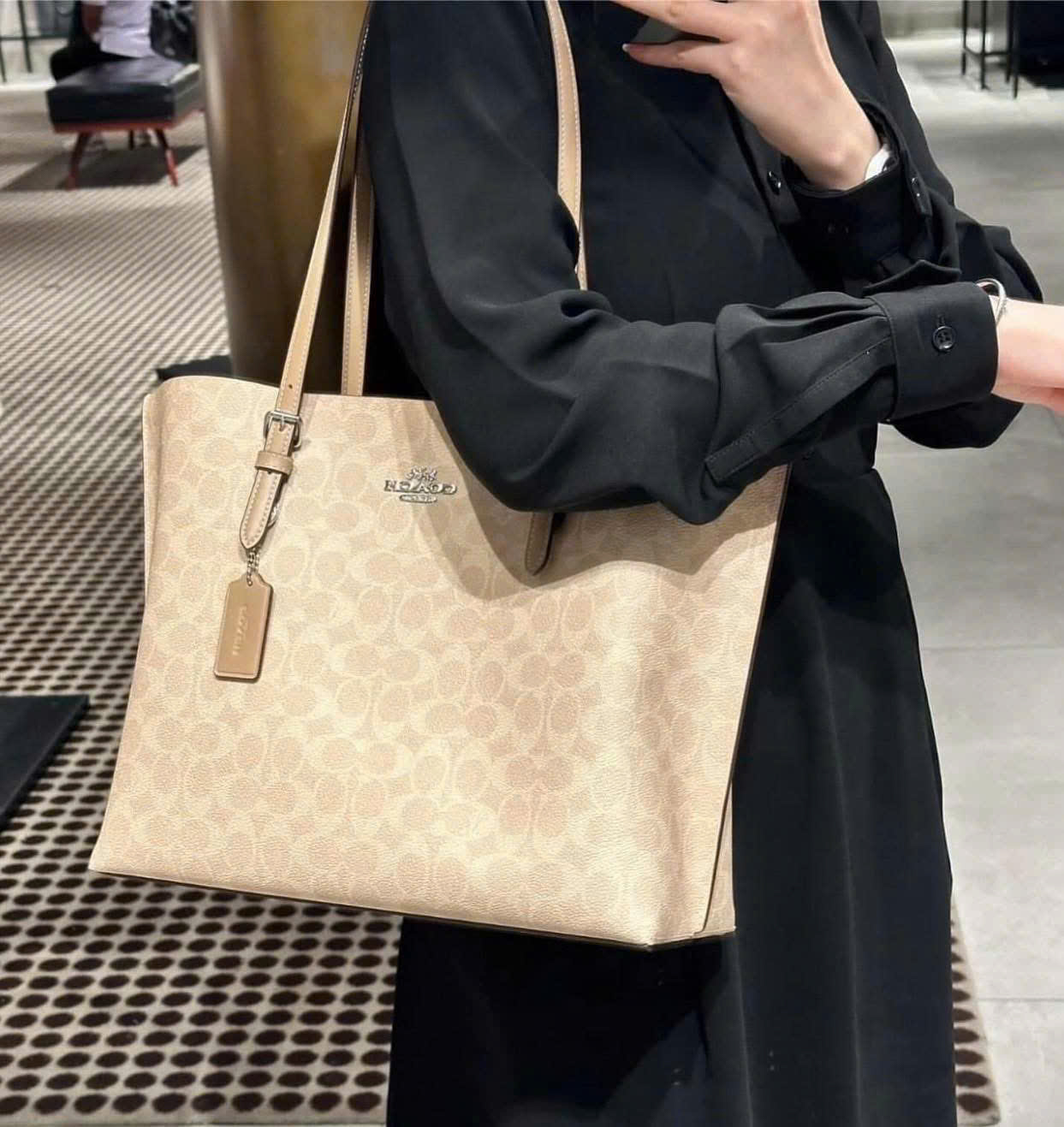Túi xách Coach nữ Mollie Tote Bag In Signature Canvas Silver Sand CV967 8