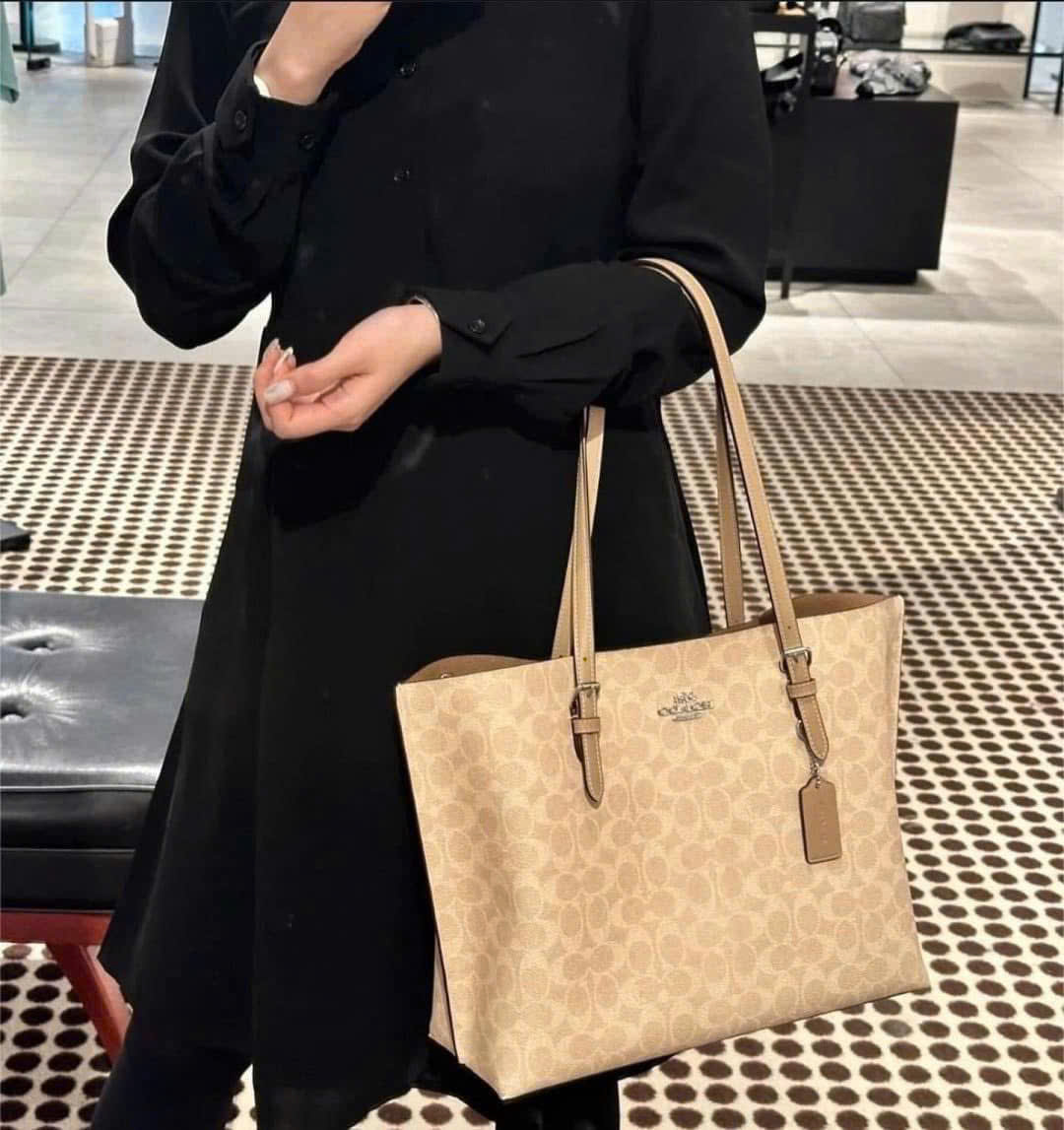Túi xách Coach nữ Mollie Tote Bag In Signature Canvas Silver Sand CV967 9