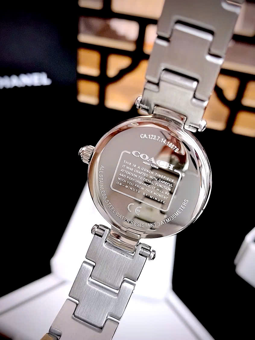 Đồng hồ đeo tay nữ Coach Park Mother of Pearl Blue Dial Silver Steel Strap Watch for Women 14503224 3