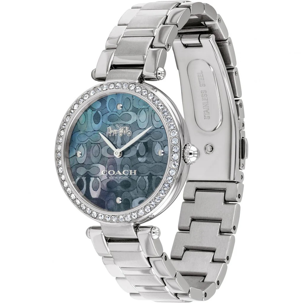 Đồng hồ đeo tay nữ Coach Park Mother of Pearl Blue Dial Silver Steel Strap Watch for Women 14503224 4