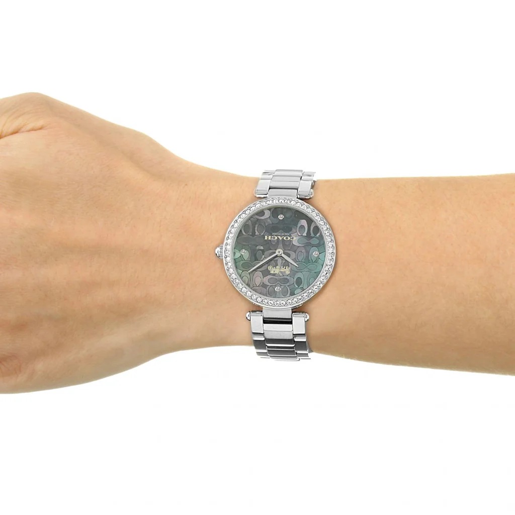 Đồng hồ đeo tay nữ Coach Park Mother of Pearl Blue Dial Silver Steel Strap Watch for Women 14503224 7
