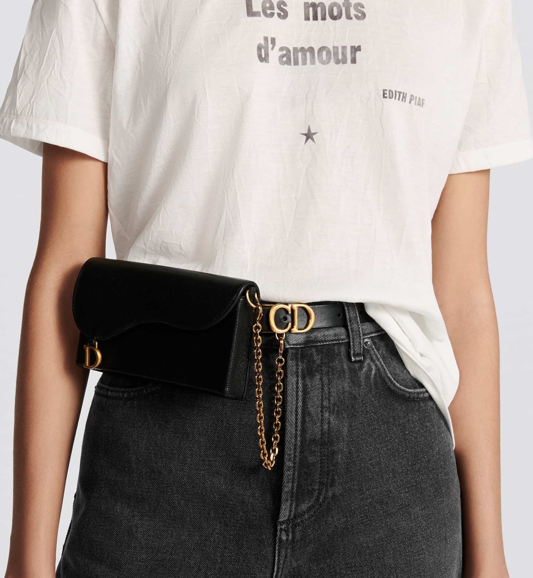 Túi đeo ngang bụng Dior Saddle Removable Pouch Belt 5