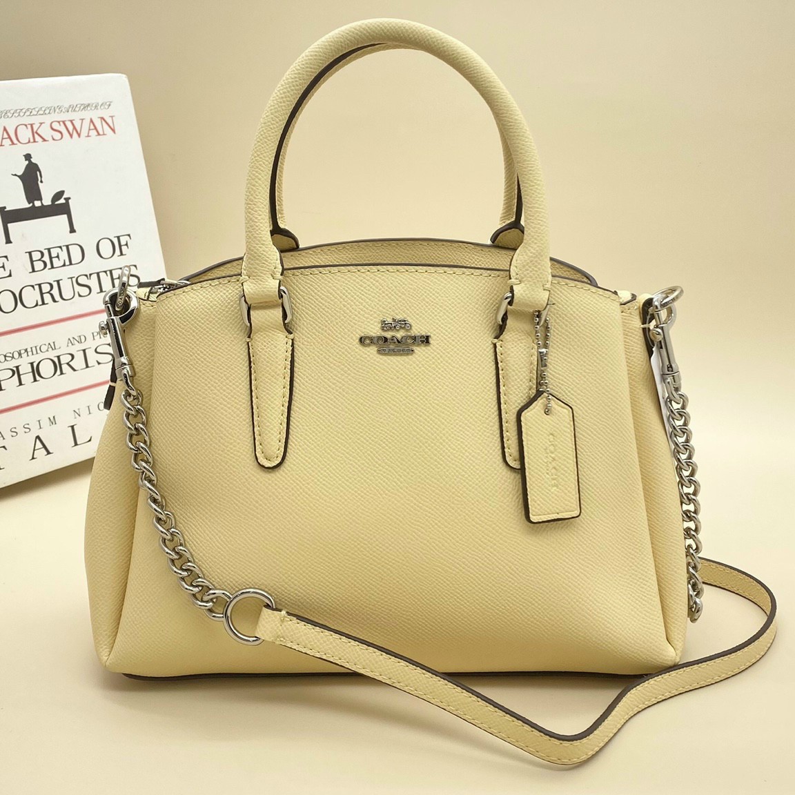 TÚI XÁCH CÔNG SỞ COACH SAGE MINI CARRYALL 1