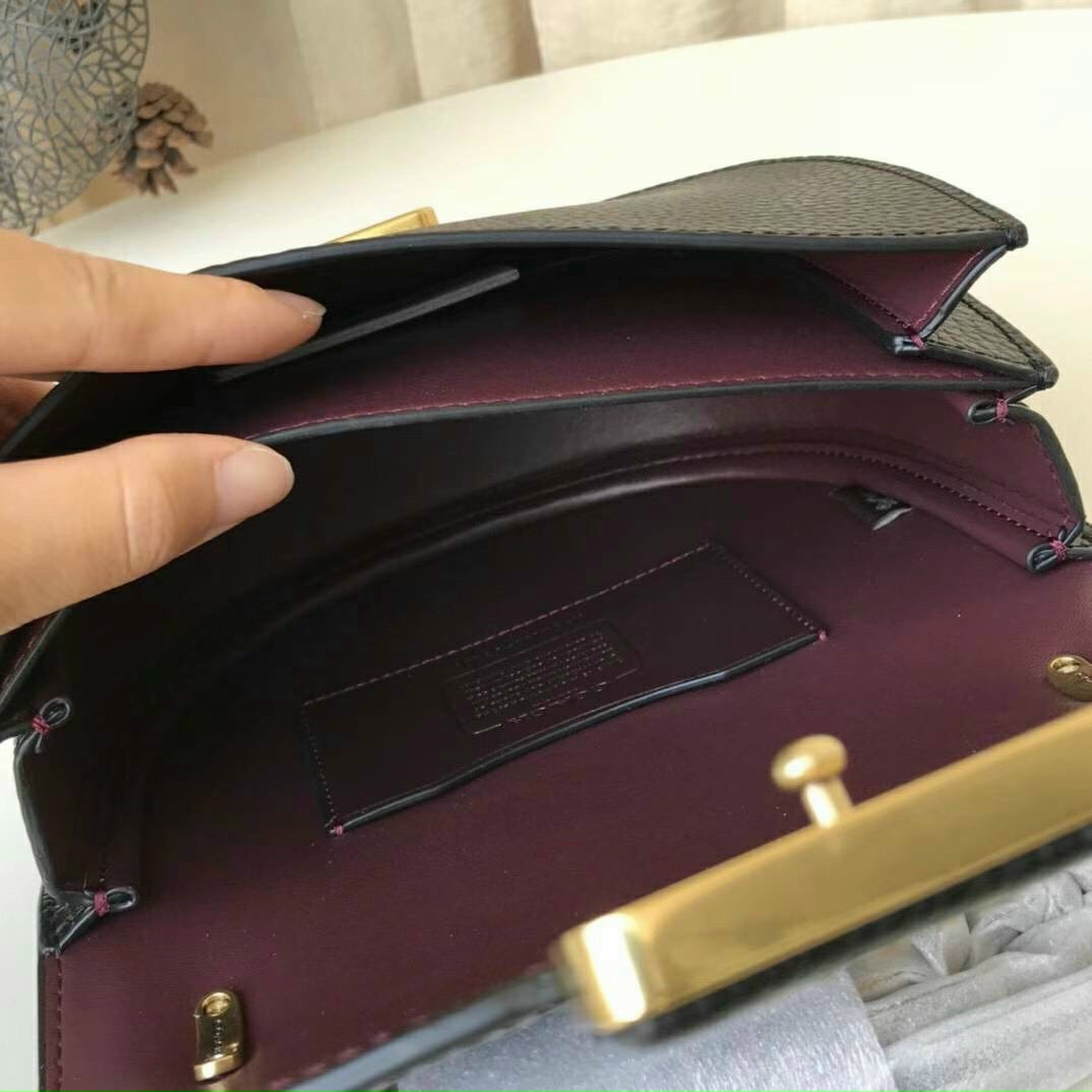 TÚI ĐEO CHÉO COACH ALIE SADDLE BAG | TÚI COACH BÁN NGUYỆT 5