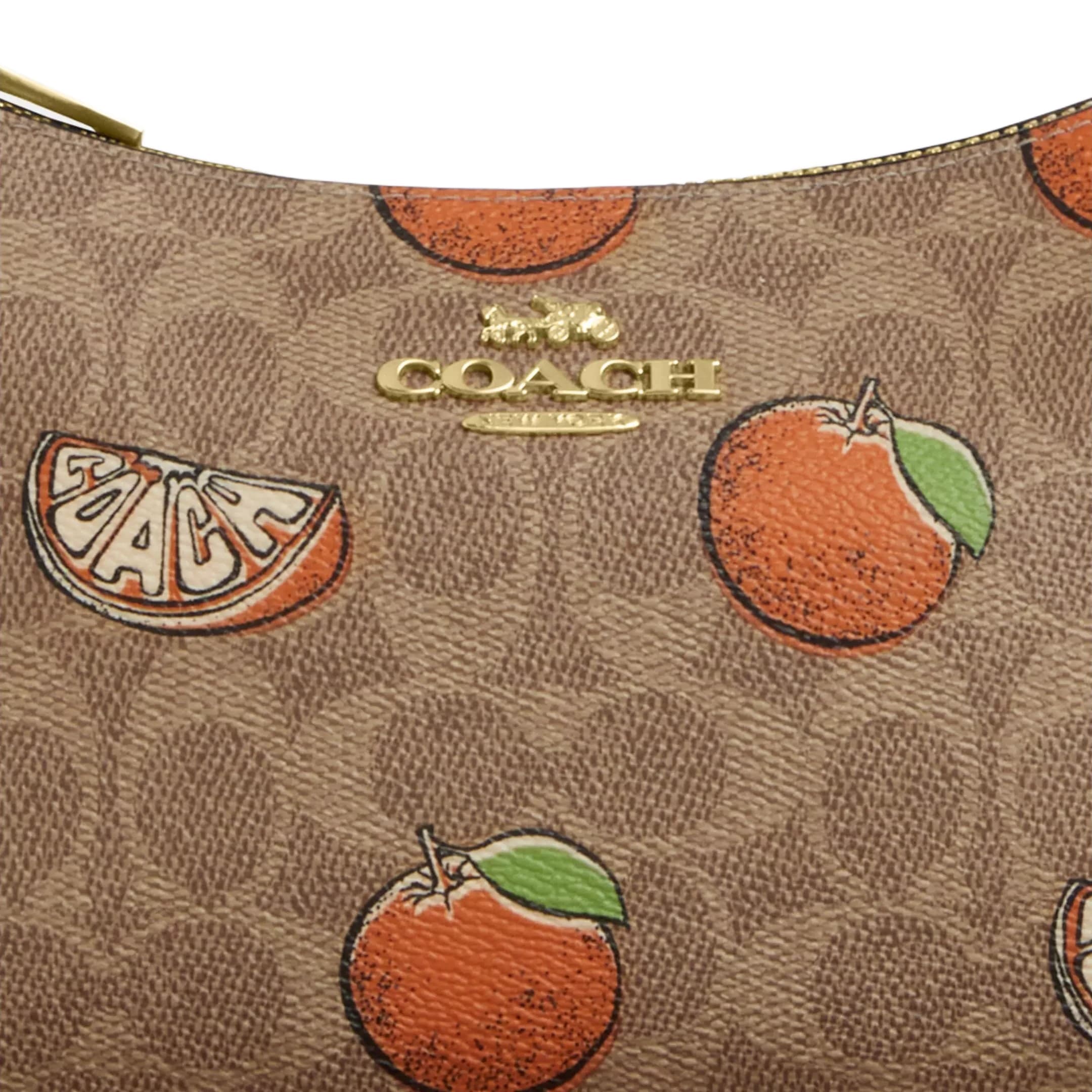 Túi đeo chéo Coach Teri Shoulder Bag In Signature Canvas With Orange Print CAL80 4