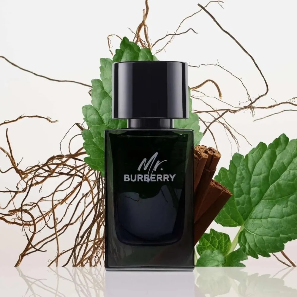 Nước Hoa nam Burberry Mr Burberry Eau De Parfum 1