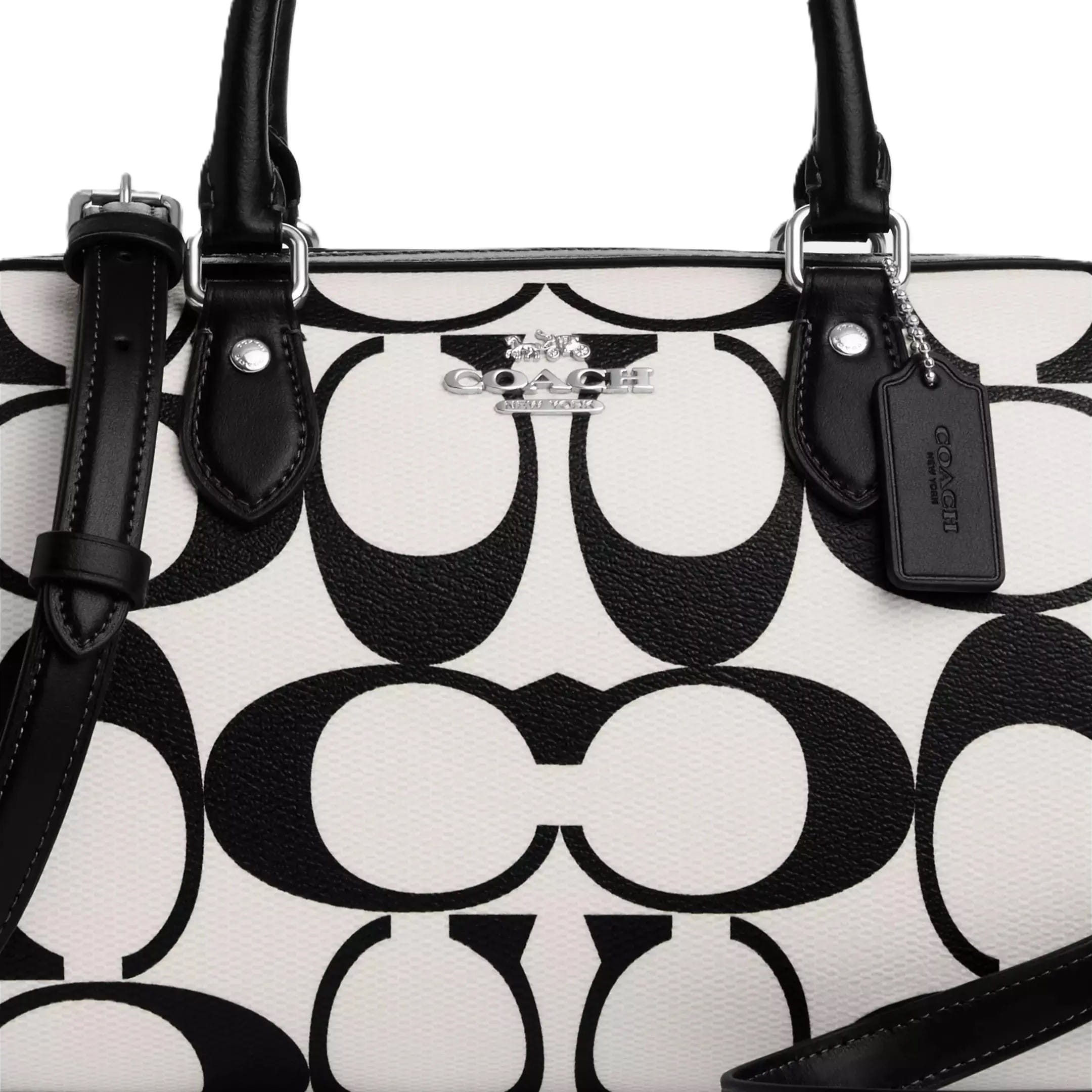 Túi xách dáng trống Coach Rowan Satchel In Signature Canvas Chalk Multi CP089 5