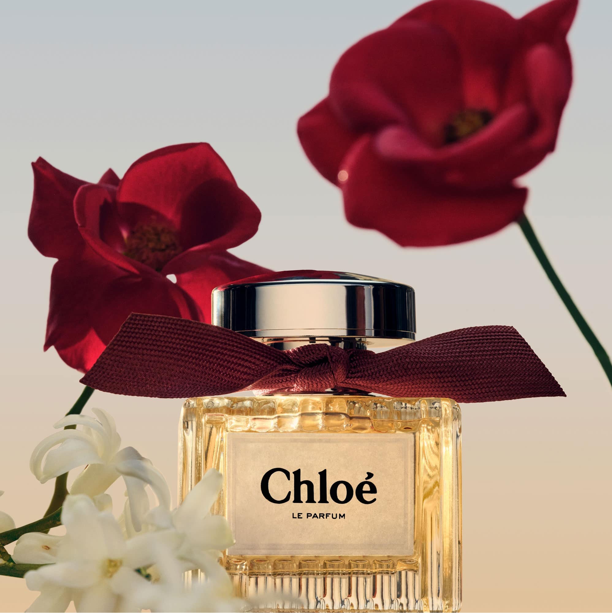 Nước Hoa Chloe Le Parfum 17