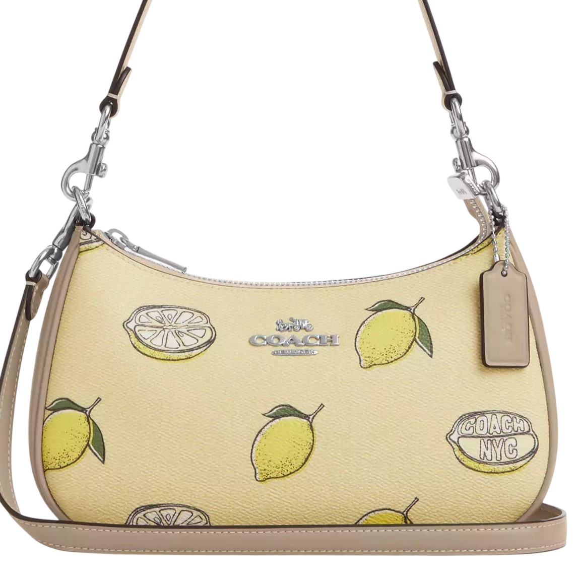 Túi đeo chéo Coach Teri Shoulder Bag With Lemon Print Garden Glade Multi CBA53 8