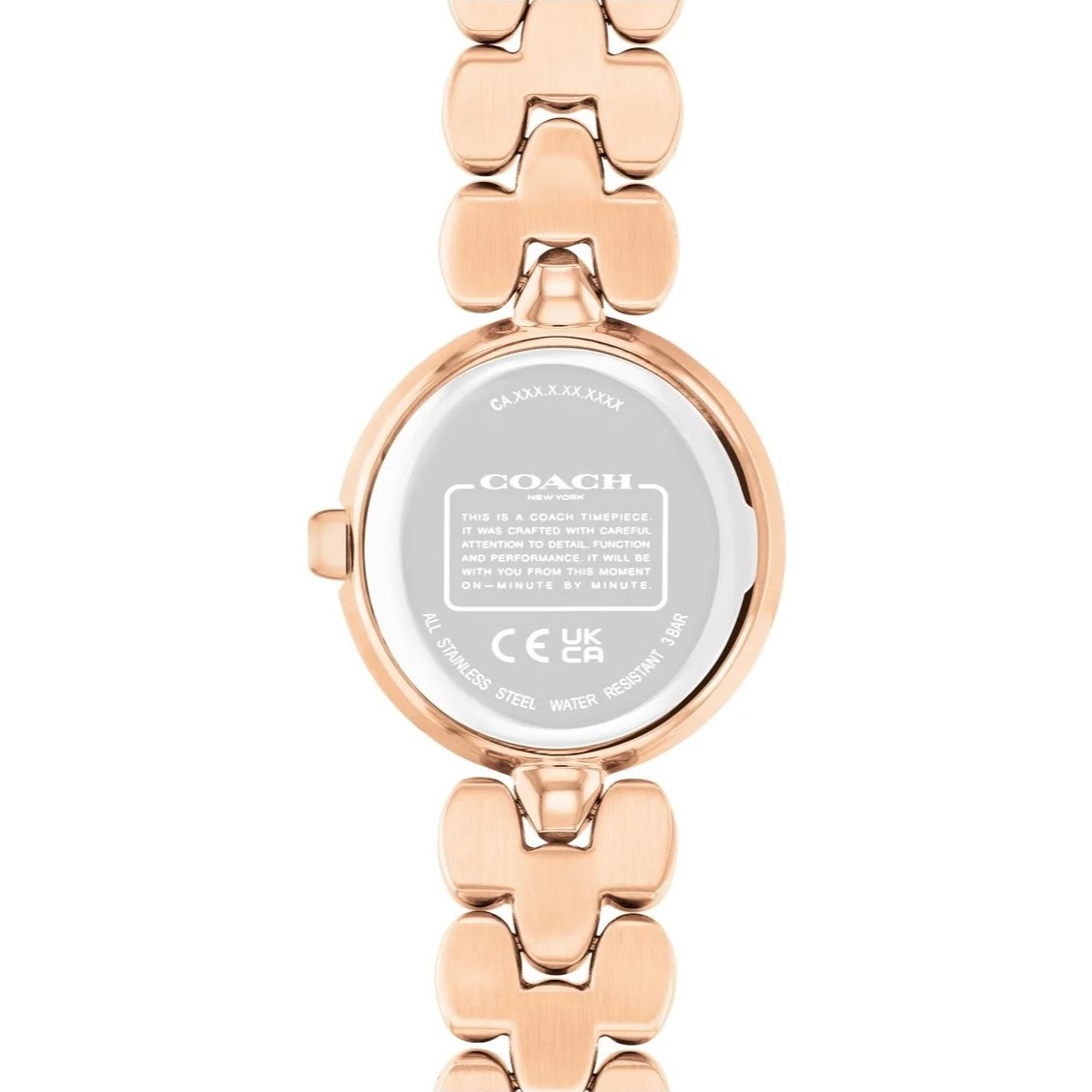 Đồng hồ đeo tay Coach Sammy Watch Gold 14504437 3