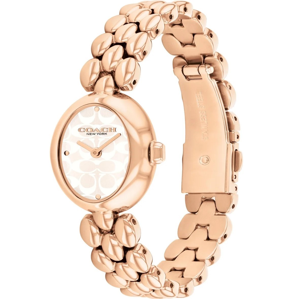 Đồng hồ đeo tay Coach Sammy Watch Gold 14504437 2