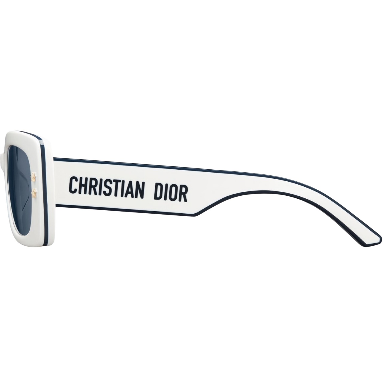 Mắt kính Dior DiorPacific S1U White Rectangular Sunglasses 5