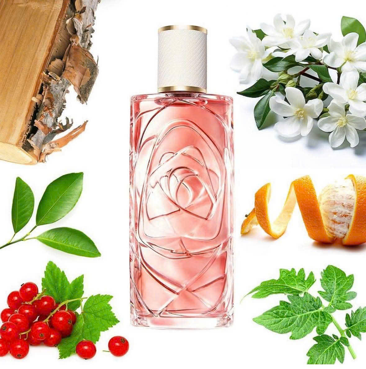 Nước Hoa Lancome Ôver The Top EDT 8