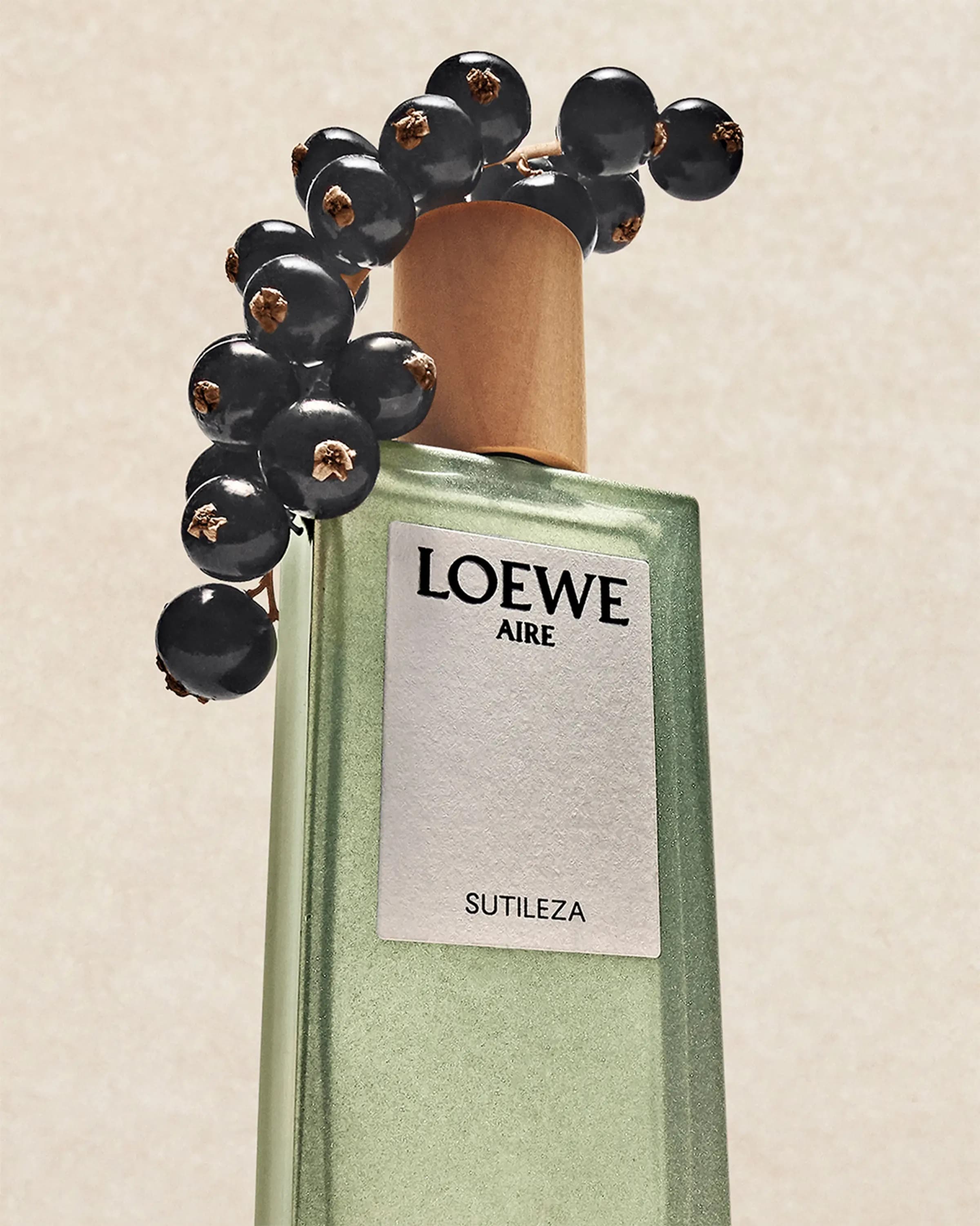 Nước Hoa Nữ Loewe Aire Sutileza EDT 4