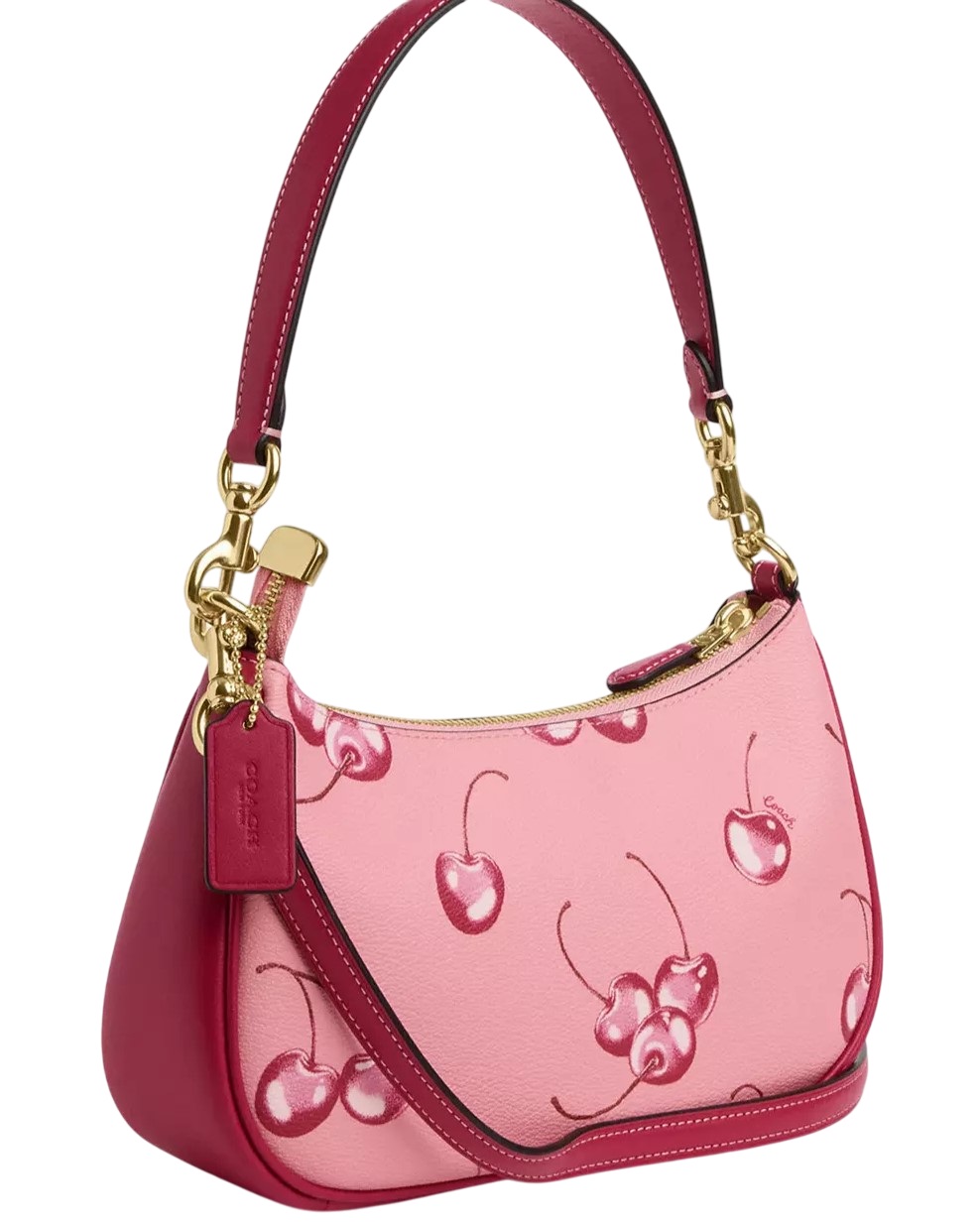 Túi đeo chéo Coach Teri Shoulder Bag In Cherry Print CR290 3