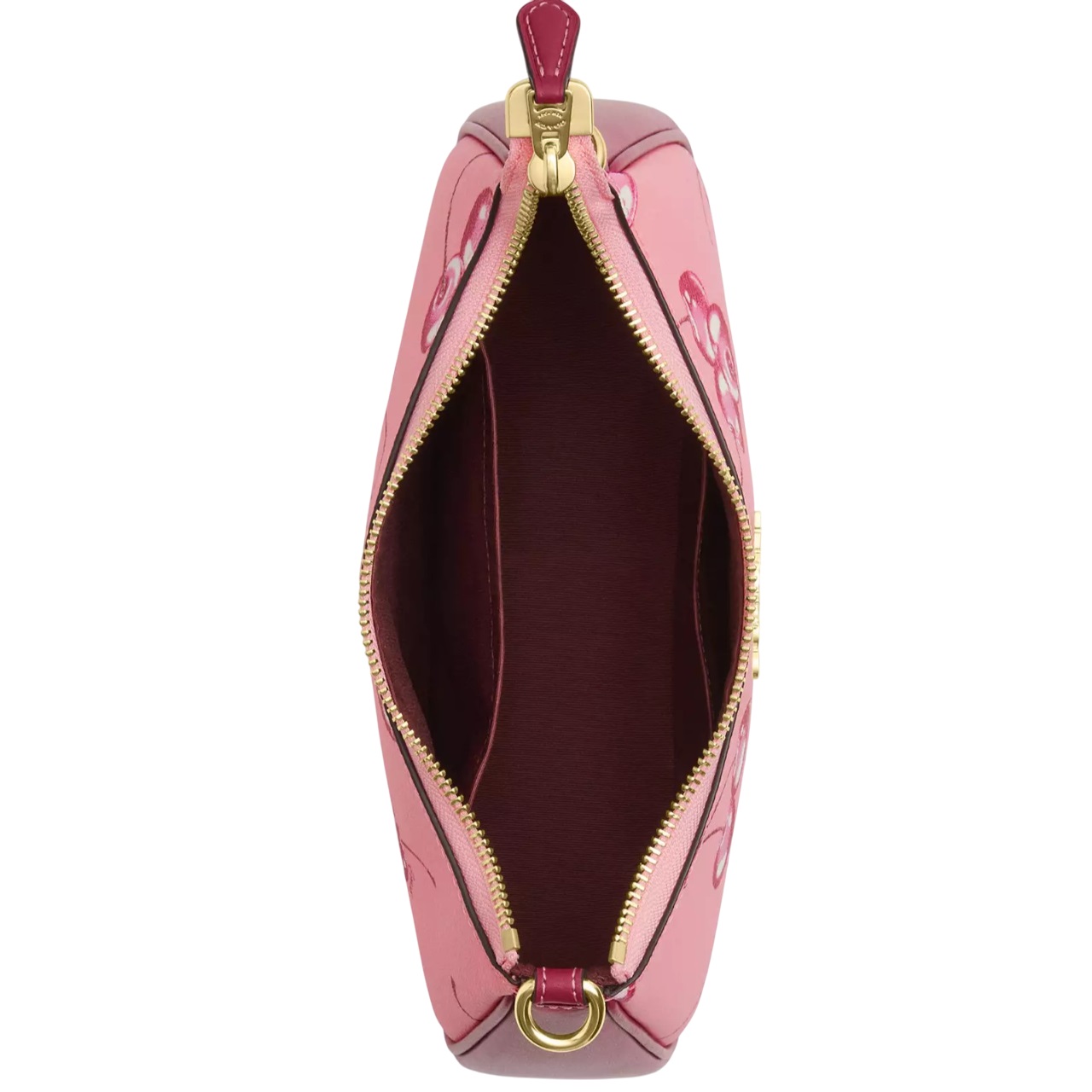 Túi đeo chéo Coach Teri Shoulder Bag In Cherry Print CR290 4