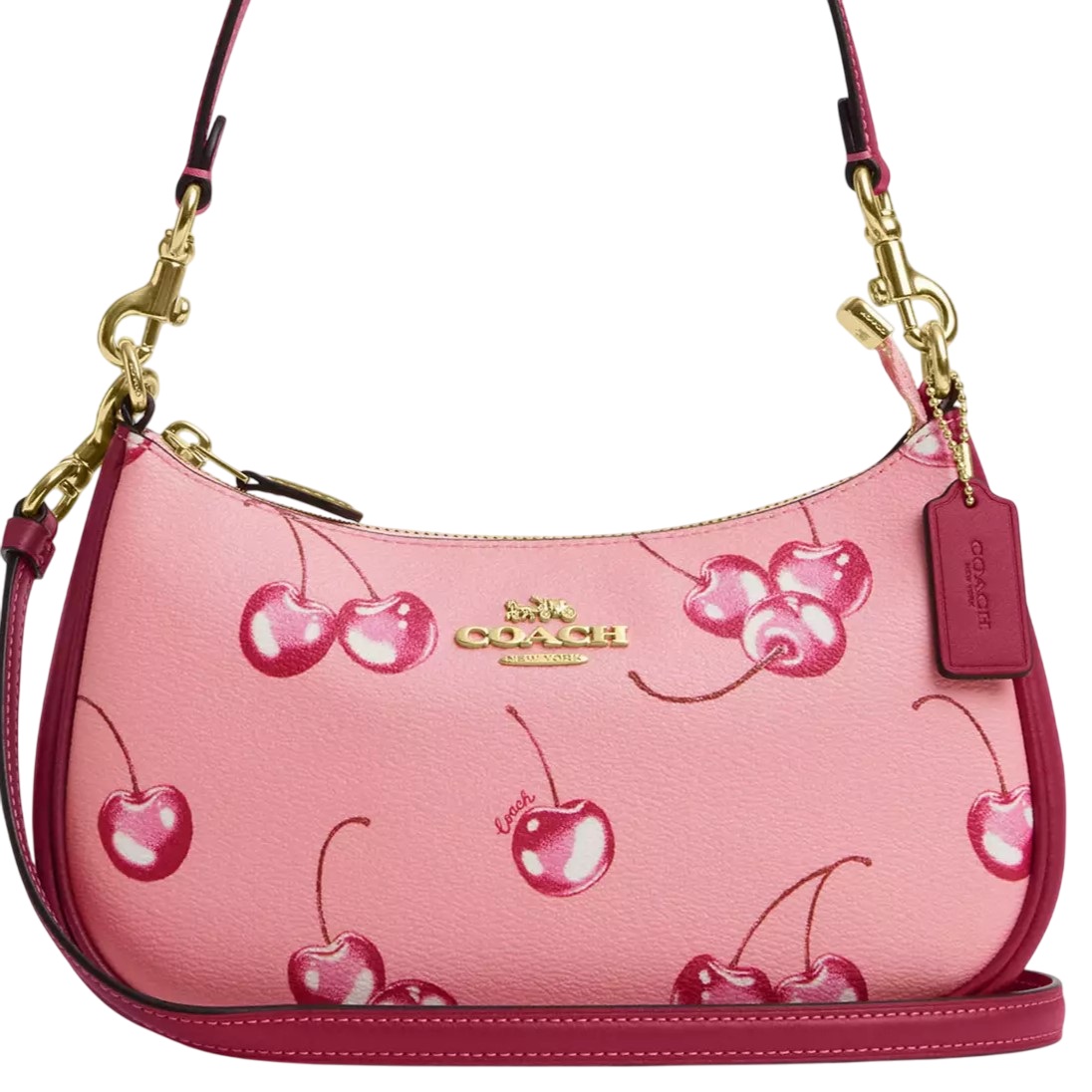 Túi đeo chéo Coach Teri Shoulder Bag In Cherry Print CR290 5