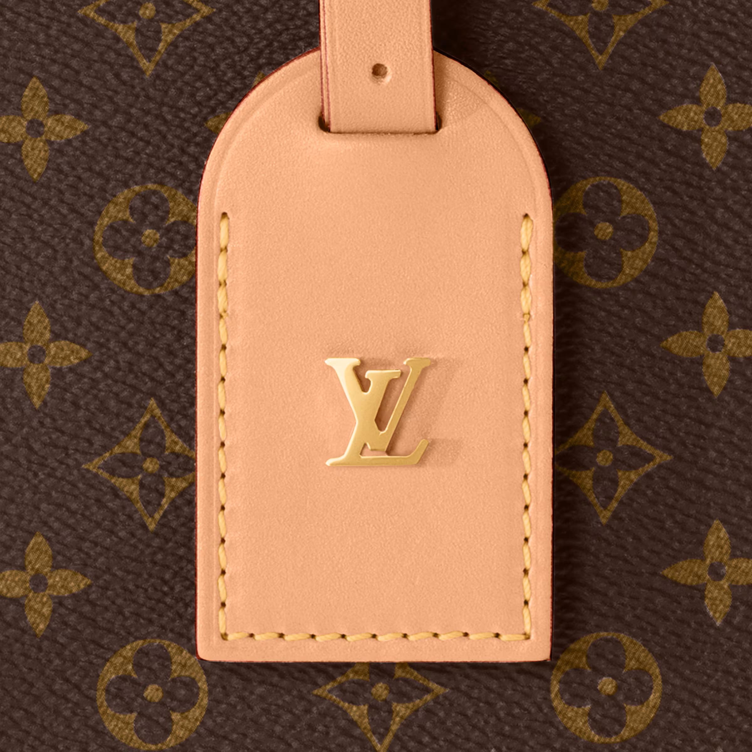 Túi xách LV nữ Louis Vuitton Petite Boite Chapeau Monogram Canvas M43514 8