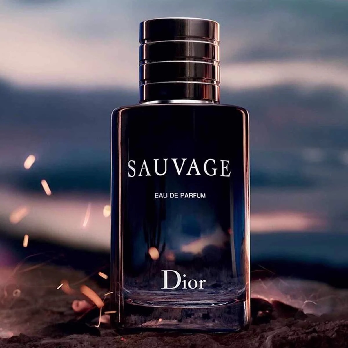 Dior Eau Sauvage Eau De Toilette Spray 100ml  David Jones