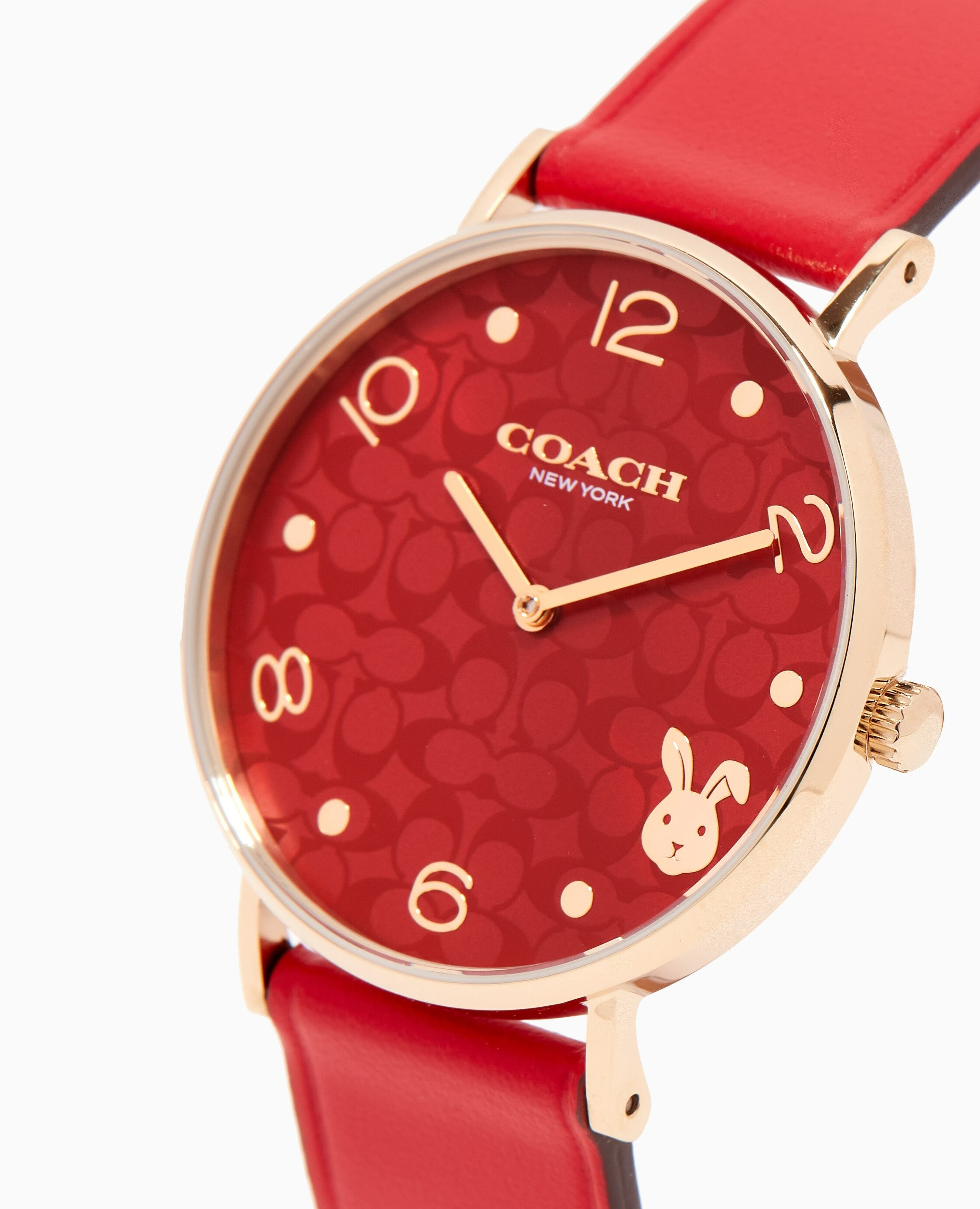 ĐỒNG HỒ ĐEO TAY NỮ COACH PERRY QUARTZ STAINLESS STEEL LEATHER WATCH 2