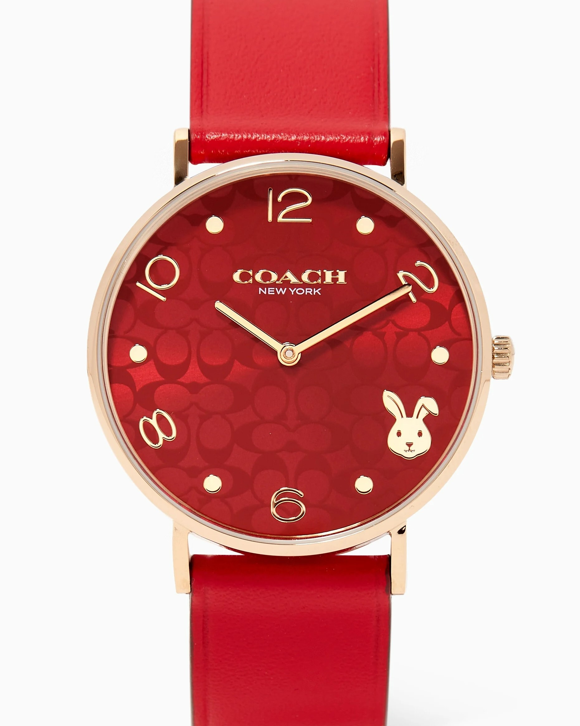 ĐỒNG HỒ ĐEO TAY NỮ COACH PERRY QUARTZ STAINLESS STEEL LEATHER WATCH 4