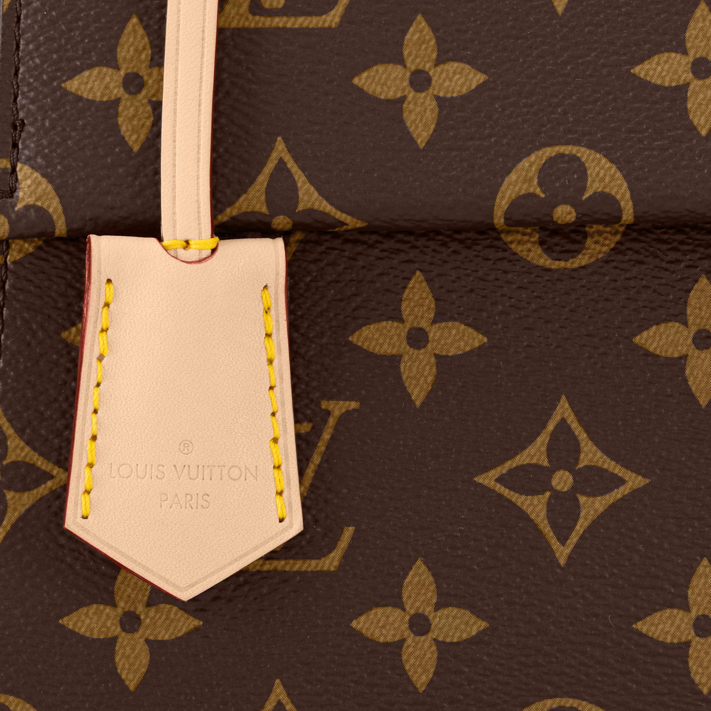 Túi đeo chéo nữ Louis Vuitton Cluny BB Monogram Canvas 7