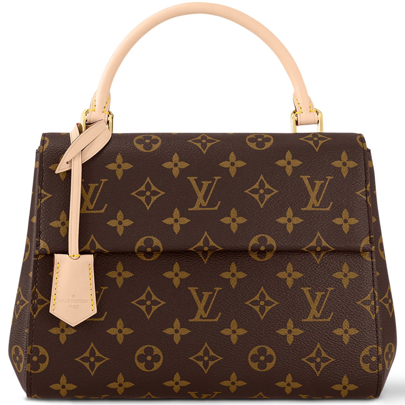 Túi đeo chéo nữ Louis Vuitton Cluny BB Monogram Canvas 9