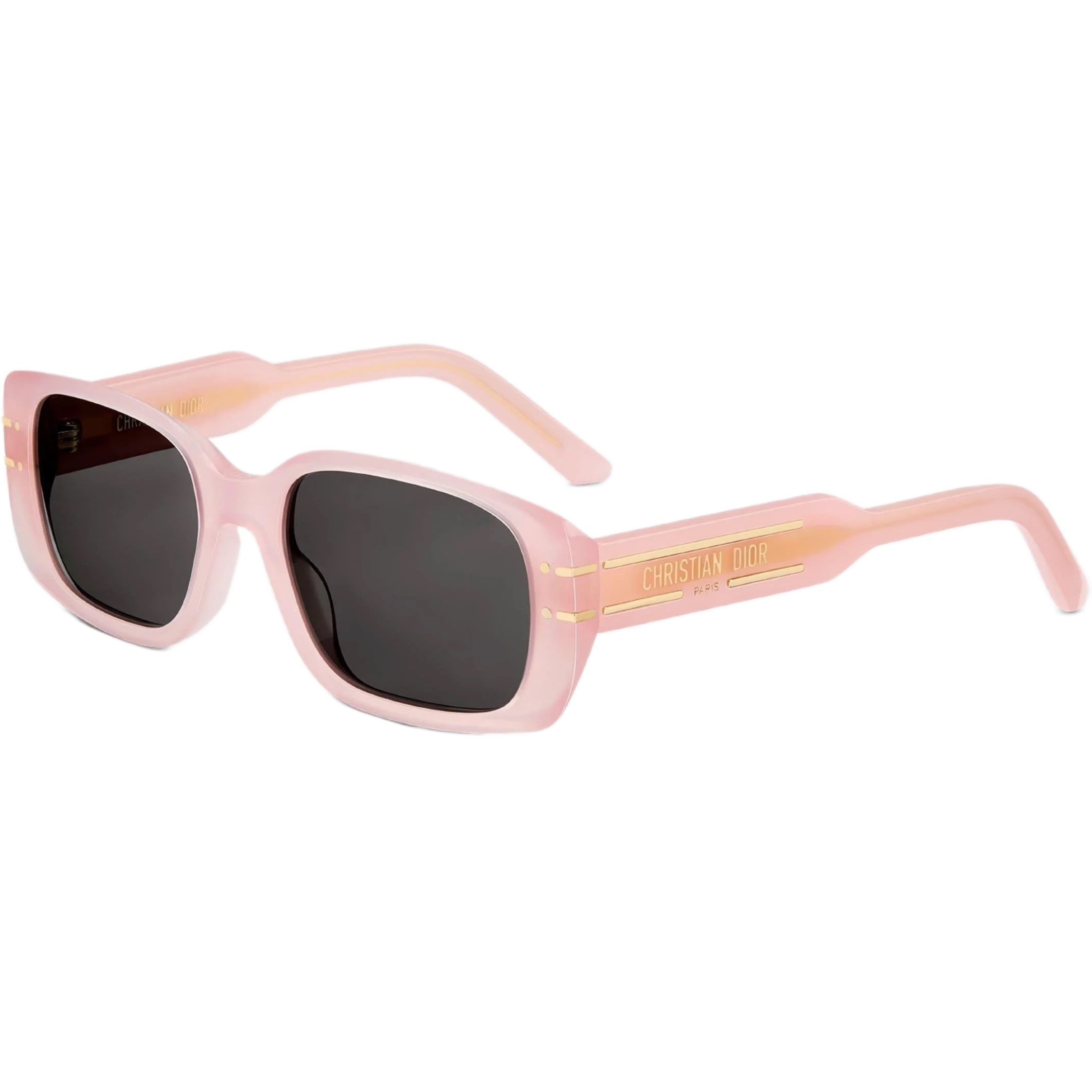 Mắt kính Nữ Dior Diorsignature Sunglasses S12I 40A0 Màu Hồng 6