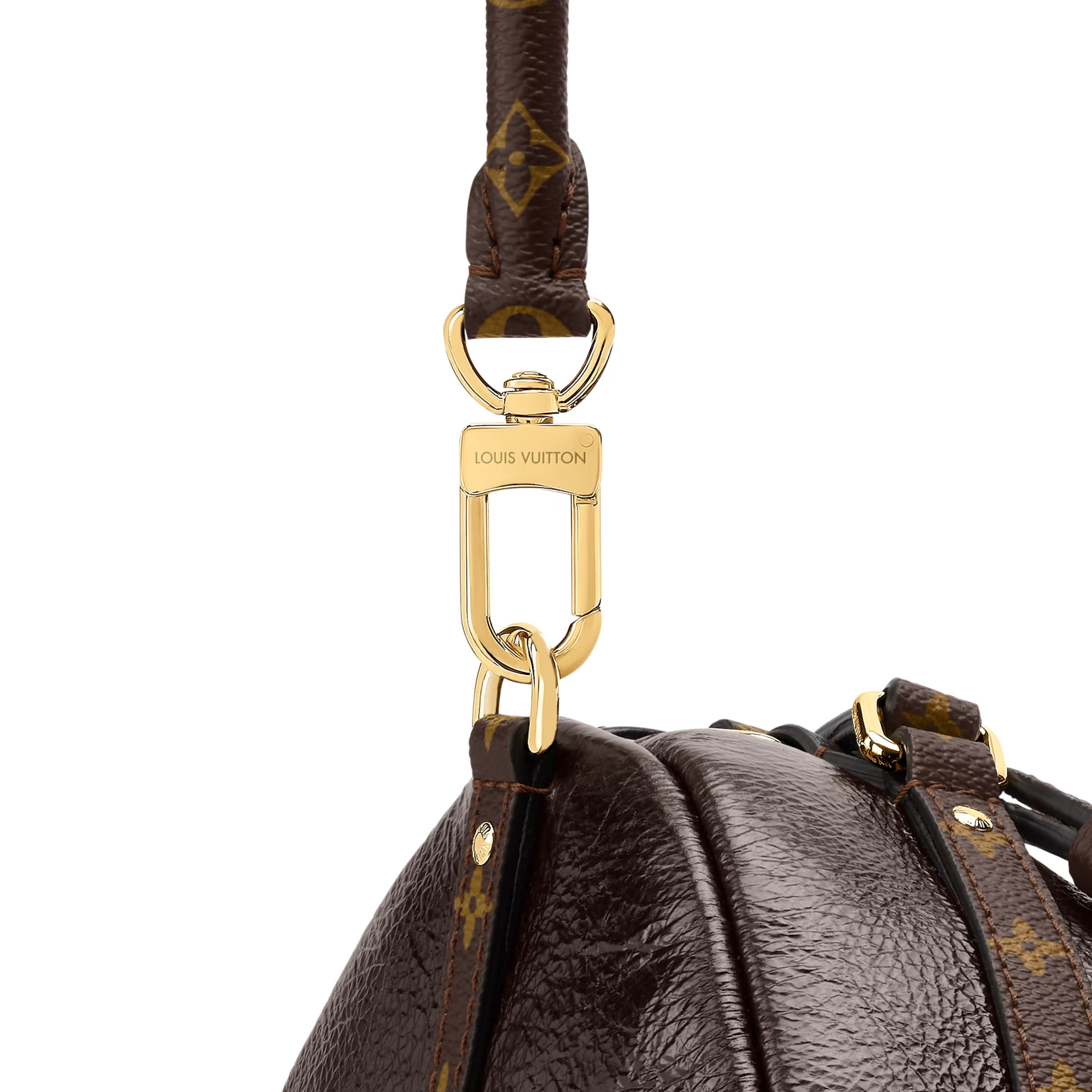 Túi xách Louis Vuitton Express MM Saga Acajou 5