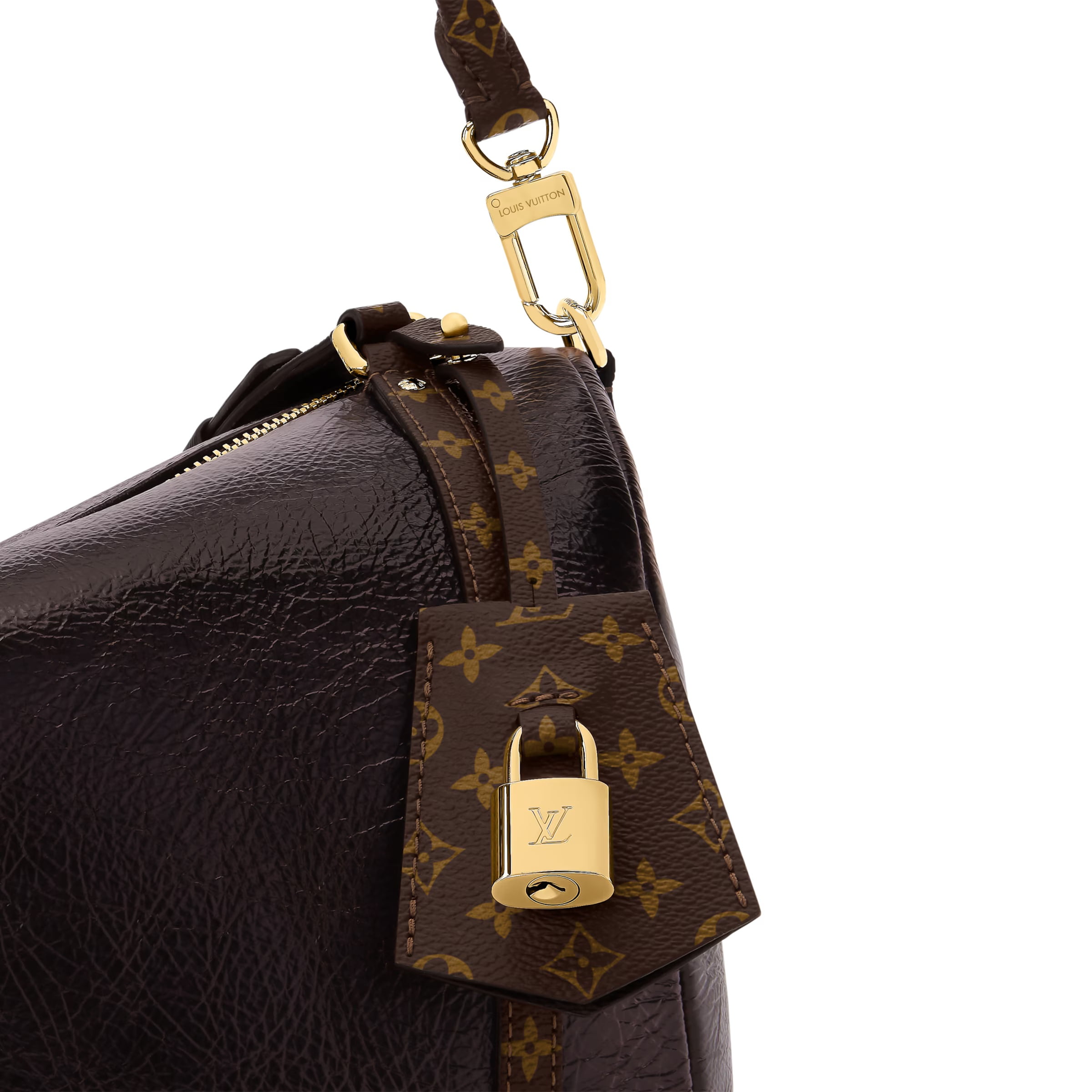 Túi xách Louis Vuitton Express MM Saga Acajou 11