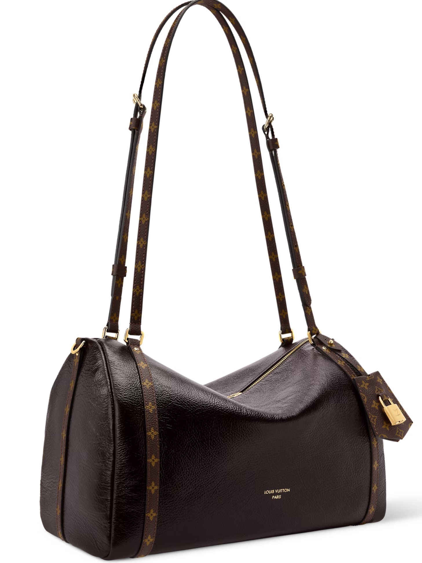Túi xách Louis Vuitton Express MM Saga Acajou 15