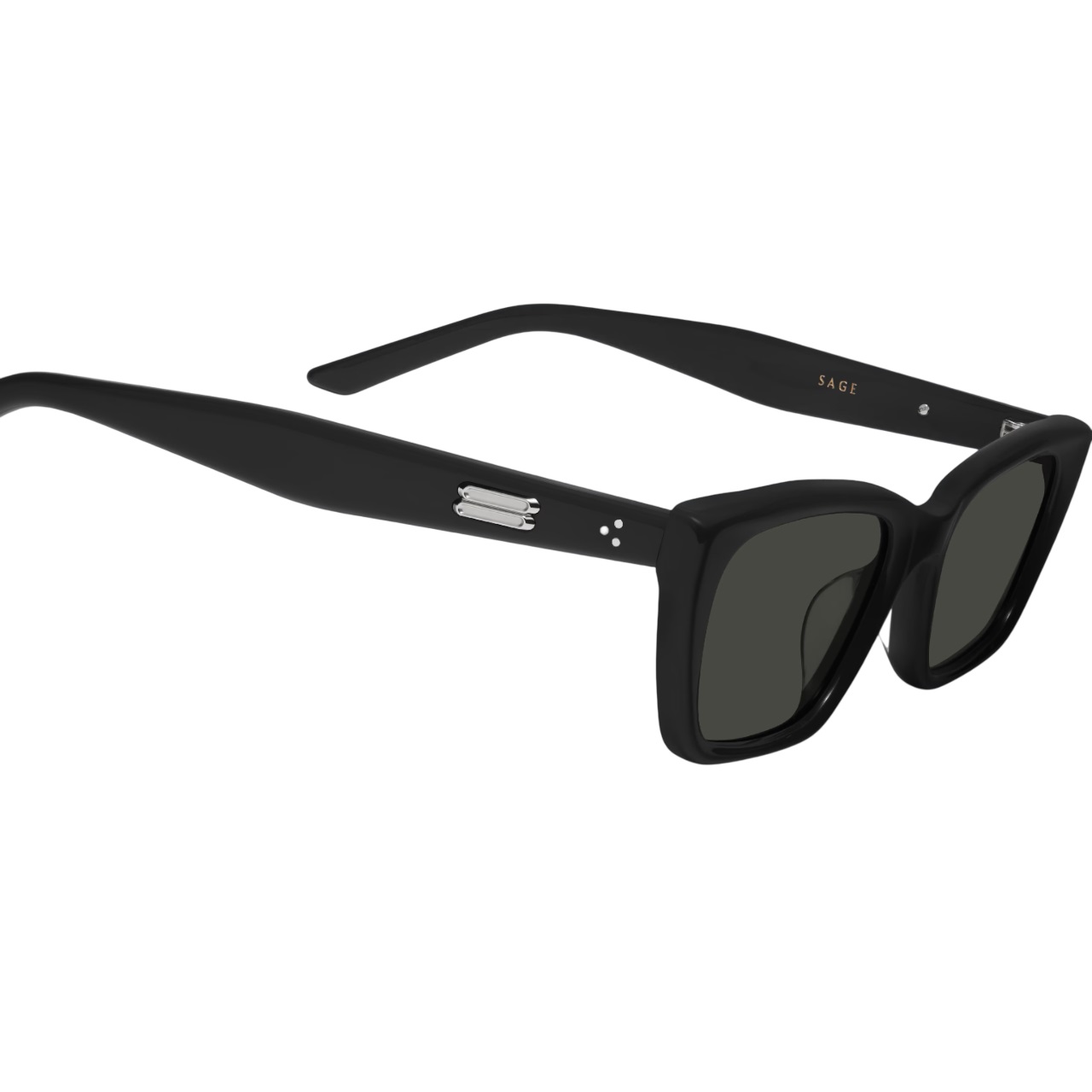 Kính mát Gentle Monster Sage 01 Cat-Eye Sunglasses in Black Acetate 7