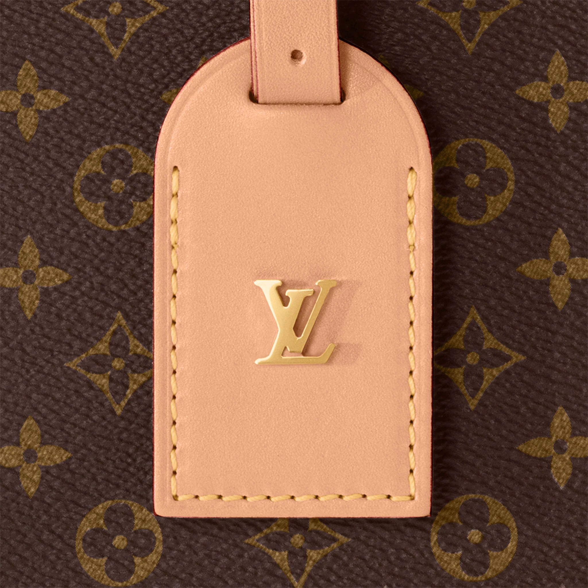 Túi cốp LV Louis Vuitton Cannes Bag of Reverse Monogram Canvas with Golden  Brass Hardware