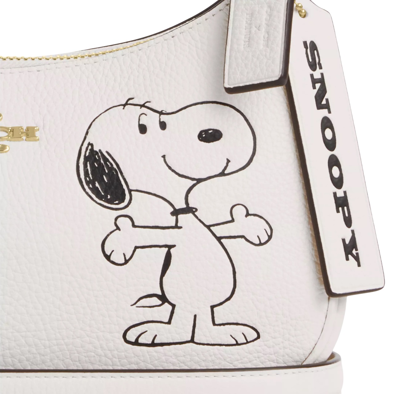 Túi đeo chéo Coach X Peanuts Teri Shoulder Bag With Snoopy Chalk Multi CBJ76 4