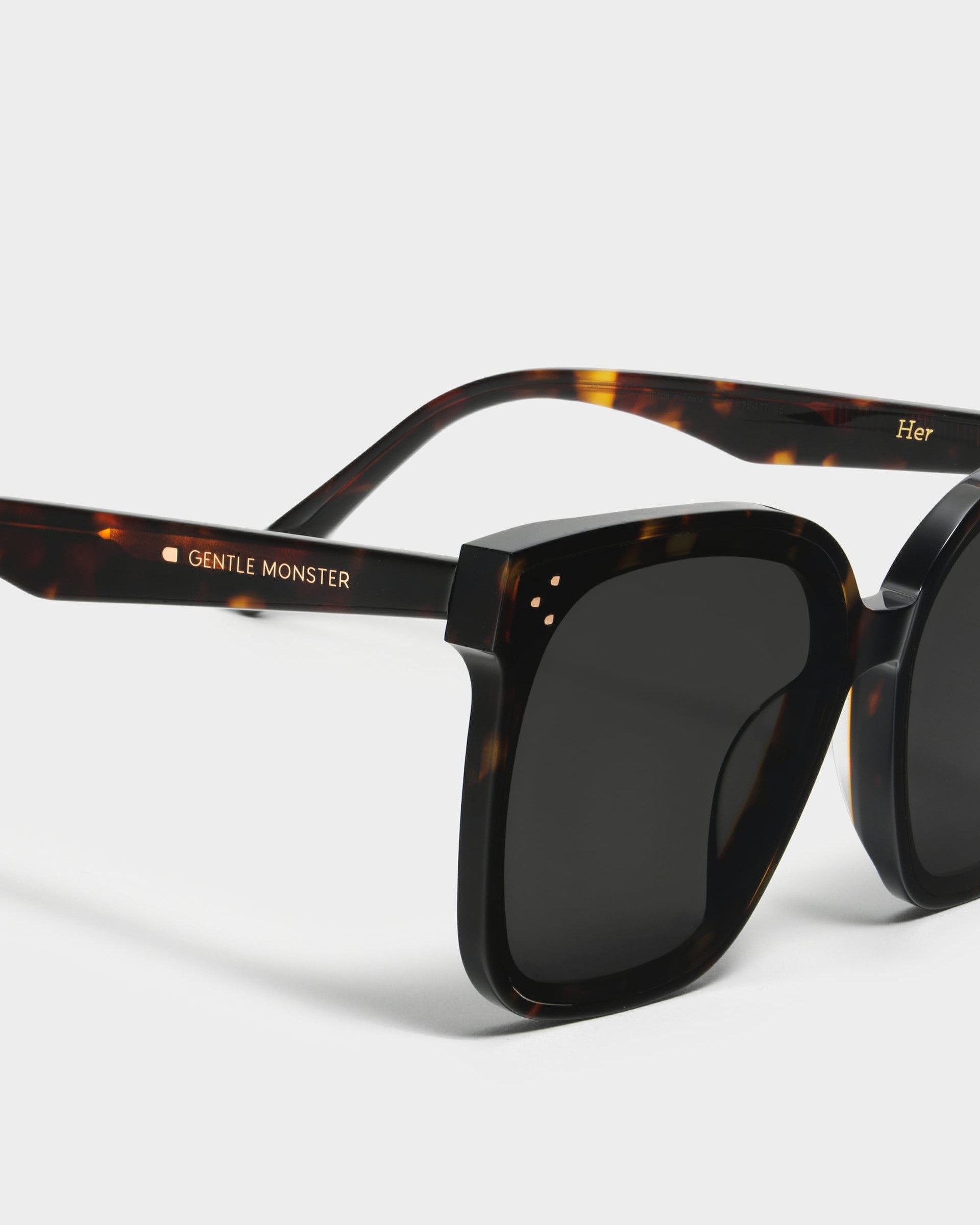 Kính râm Gentle Monster Her T1 Oversized Square Flatbar Frame 4